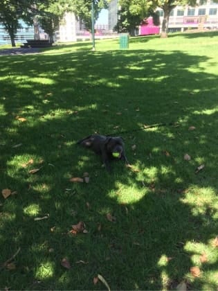 image-14