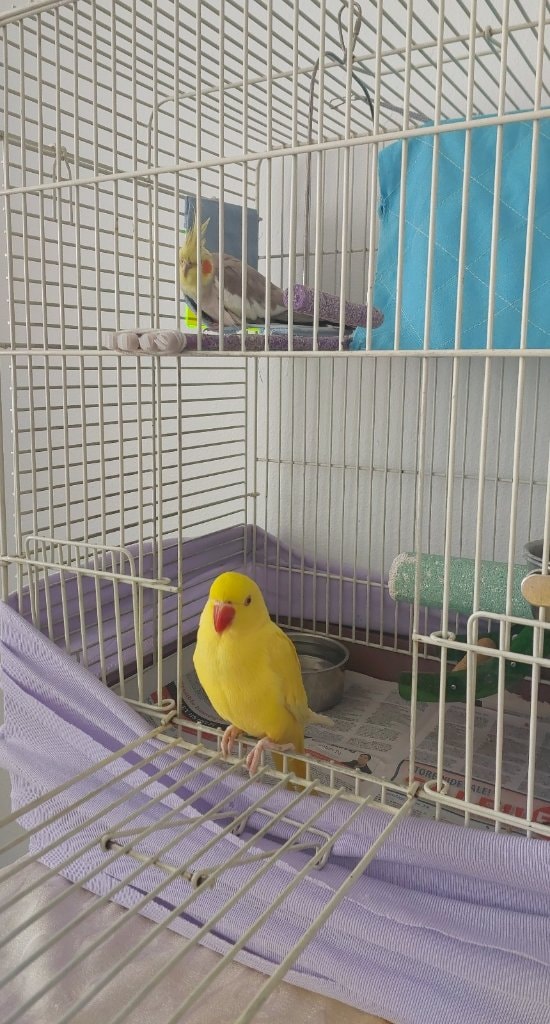 image-5