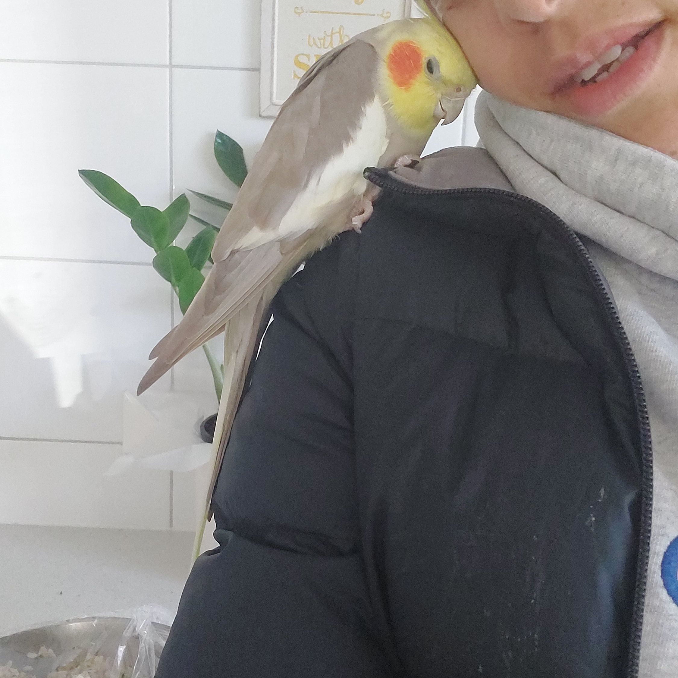 Junior 