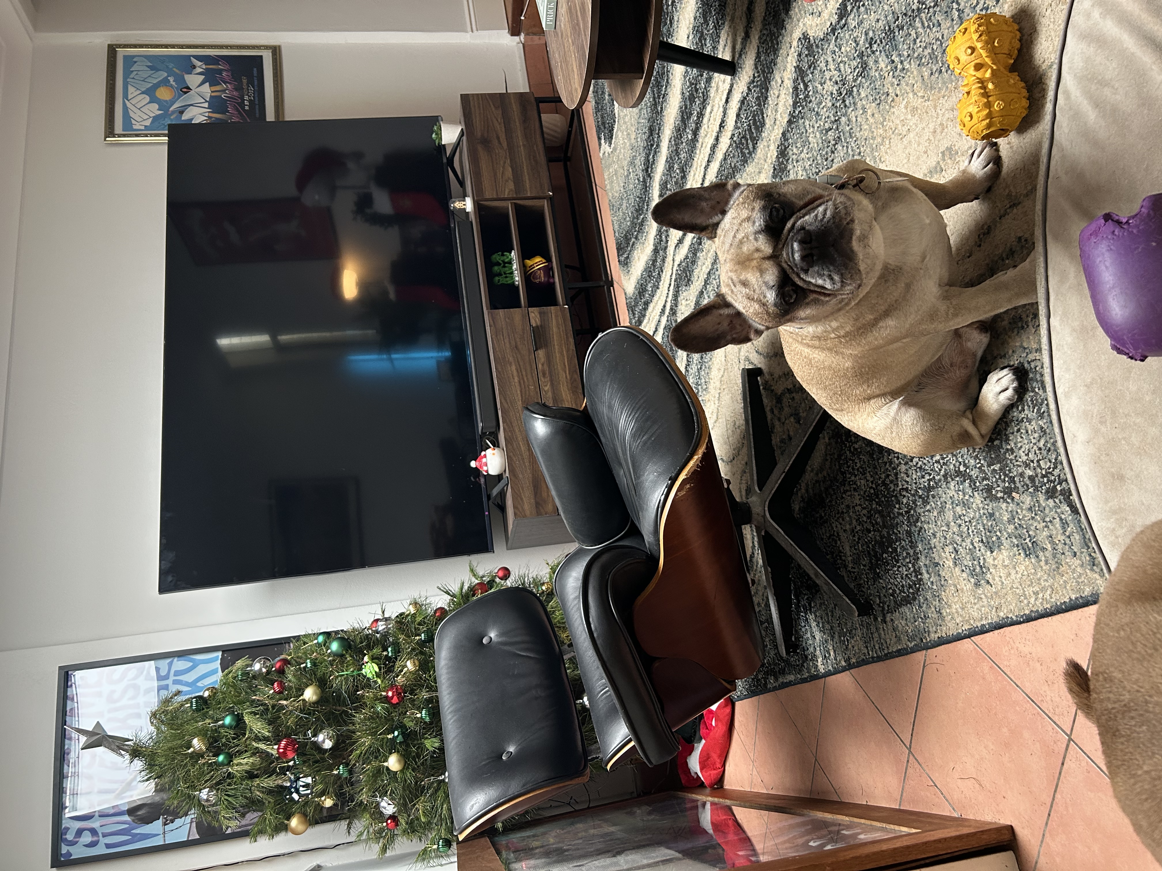 image-6