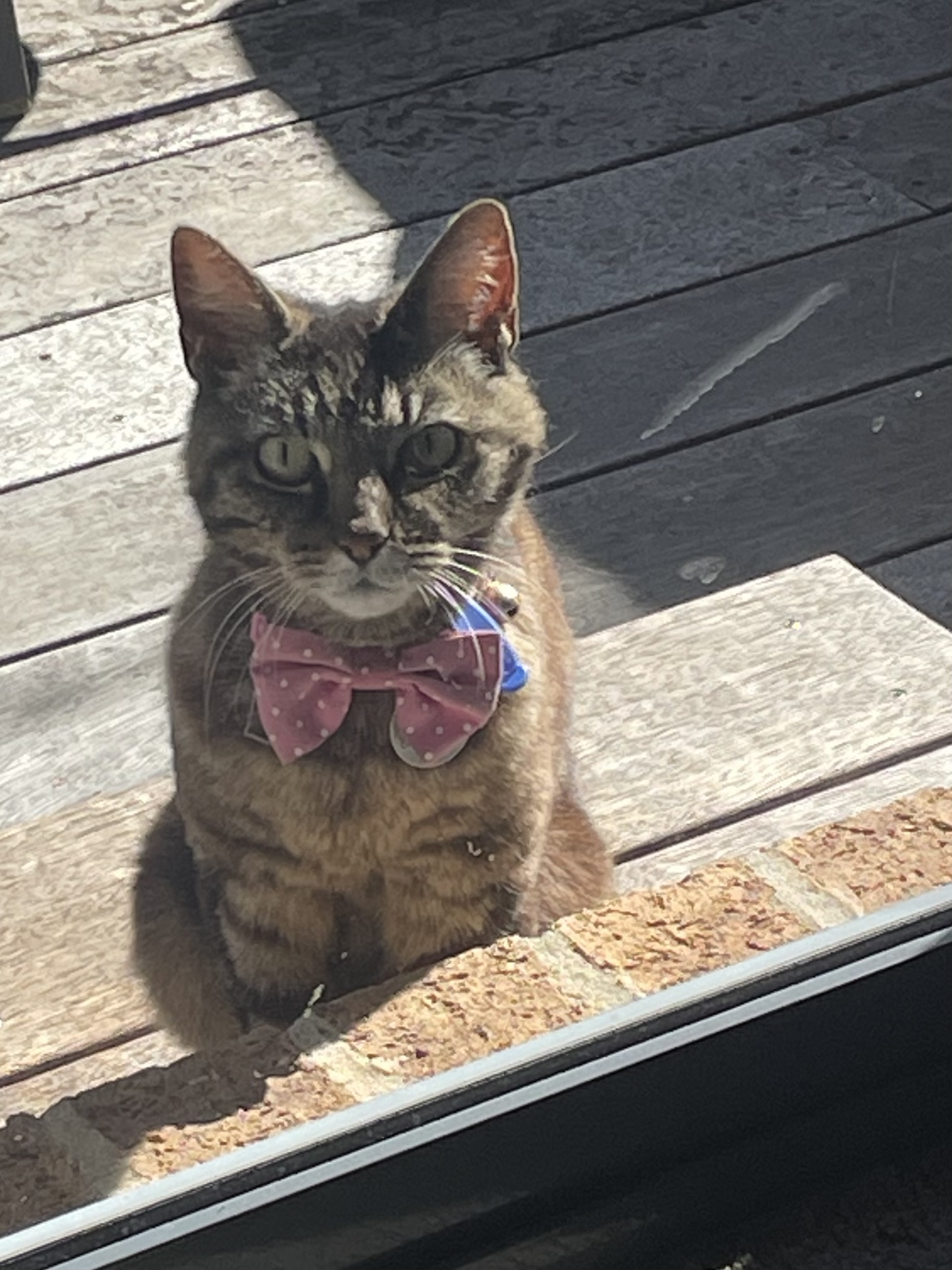 image-40