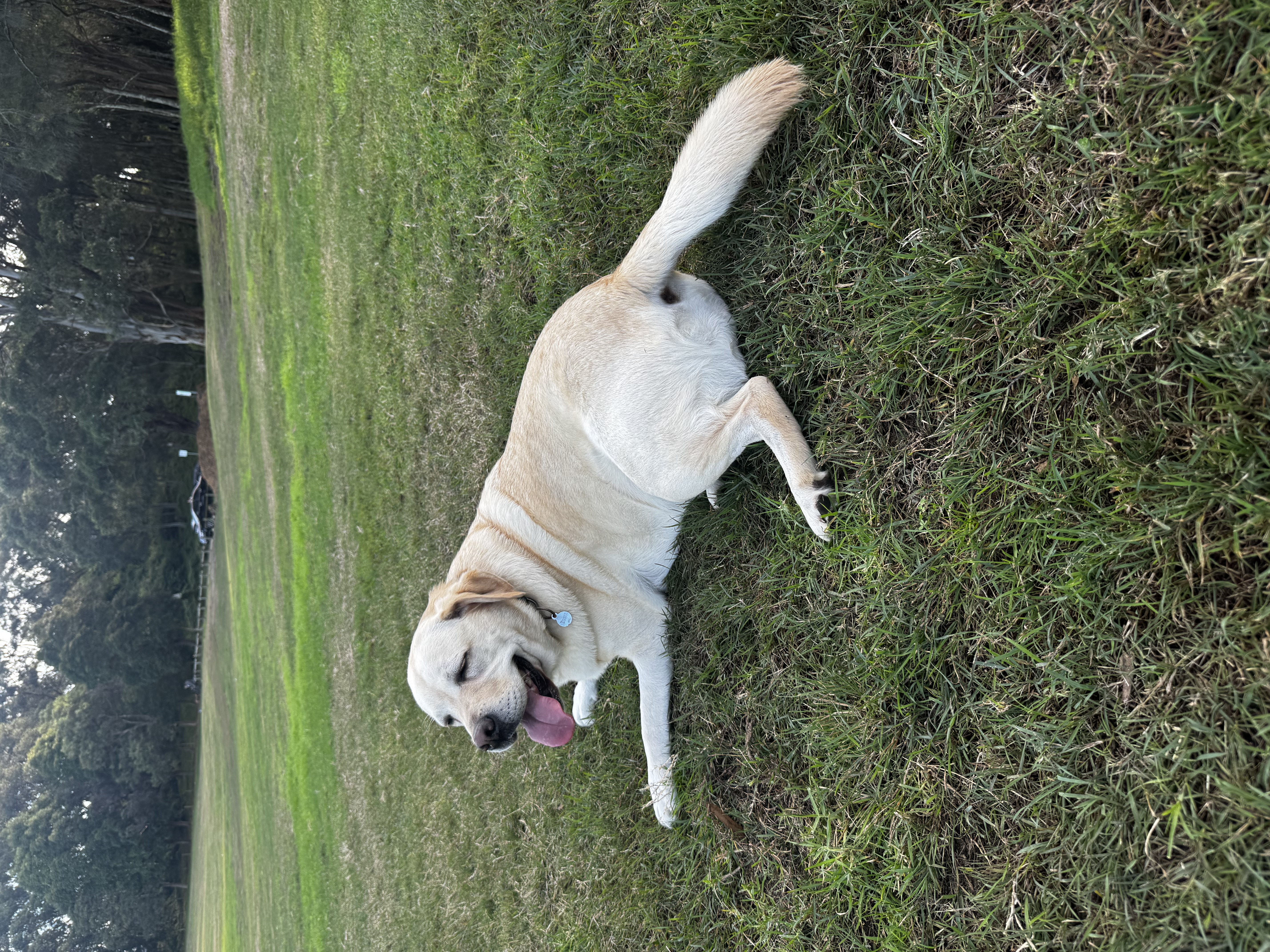 image-12