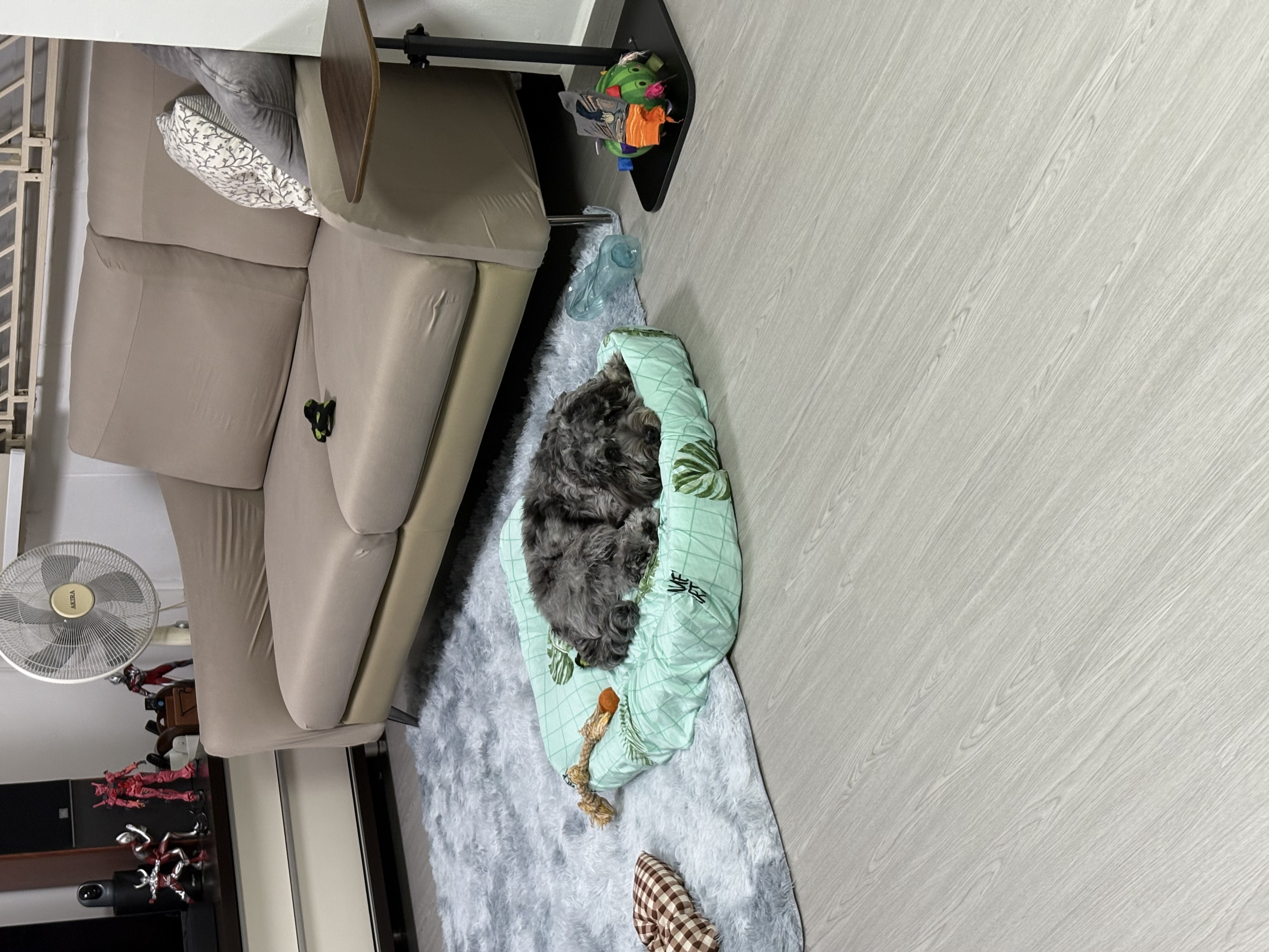 image-12