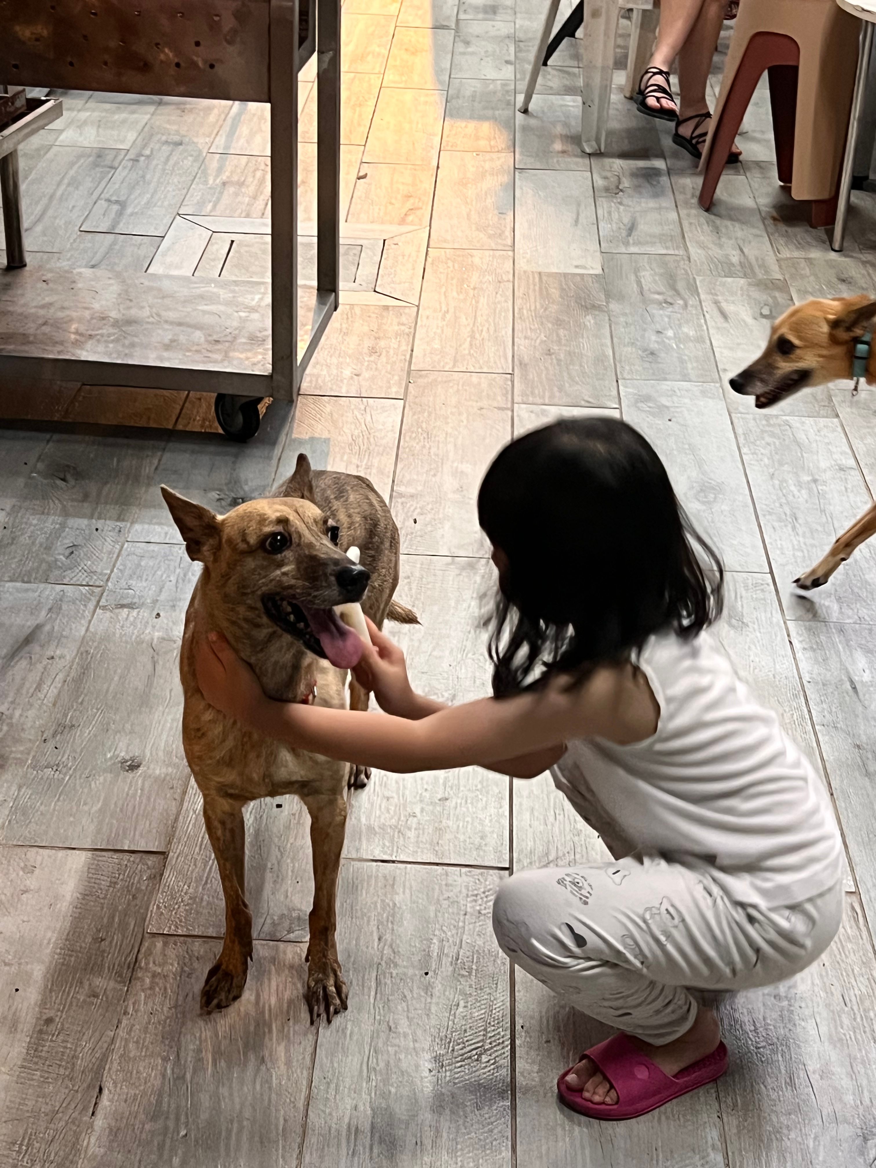 image-18