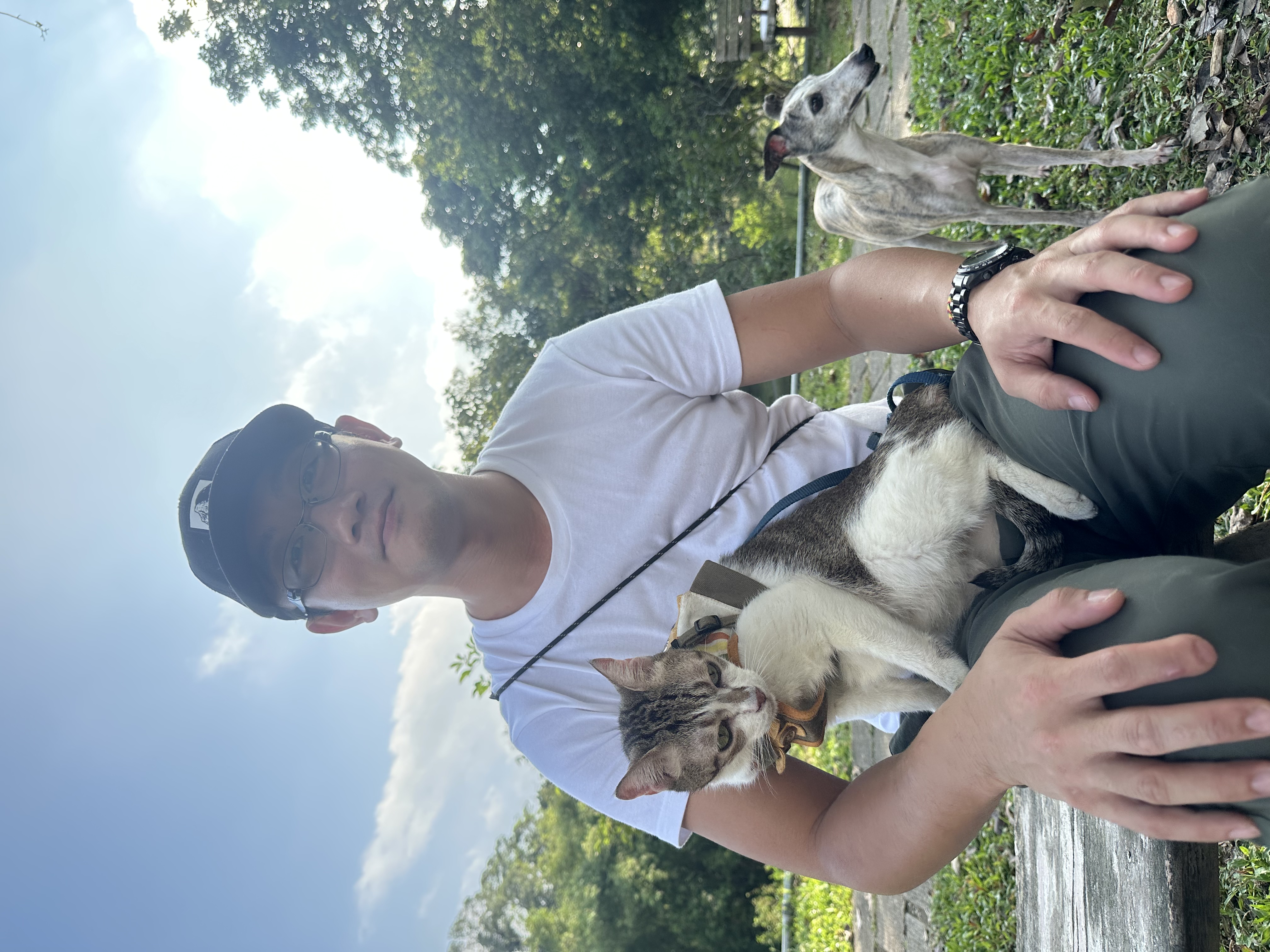 image-17