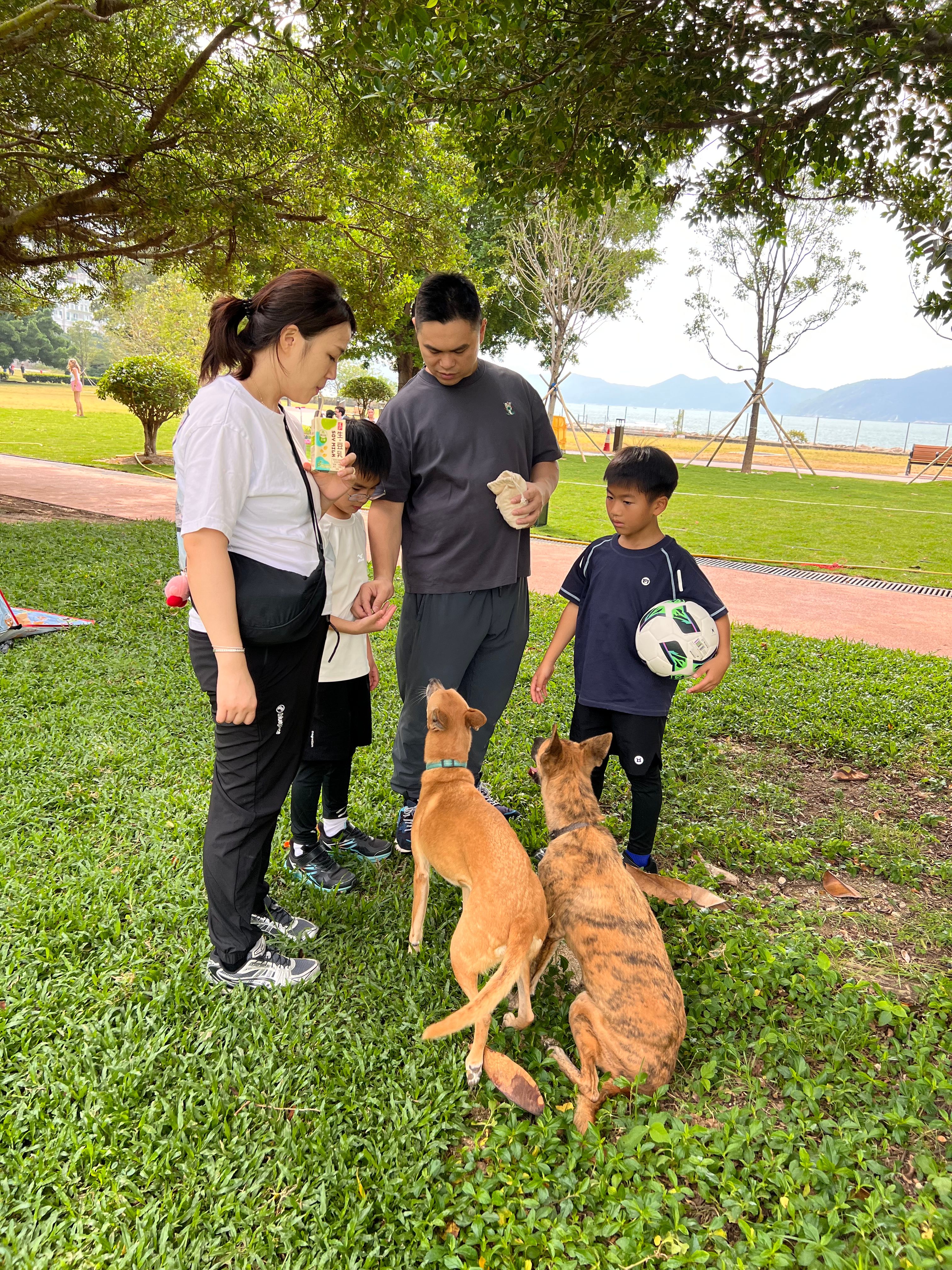 image-20