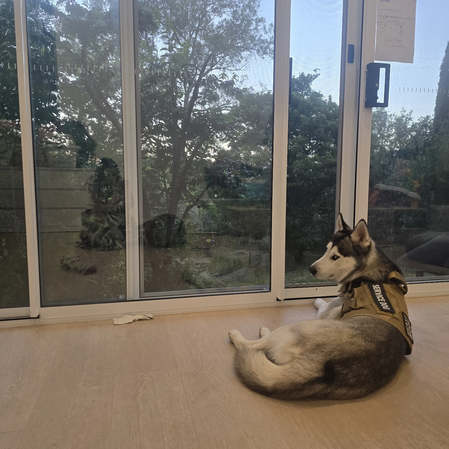 image-7