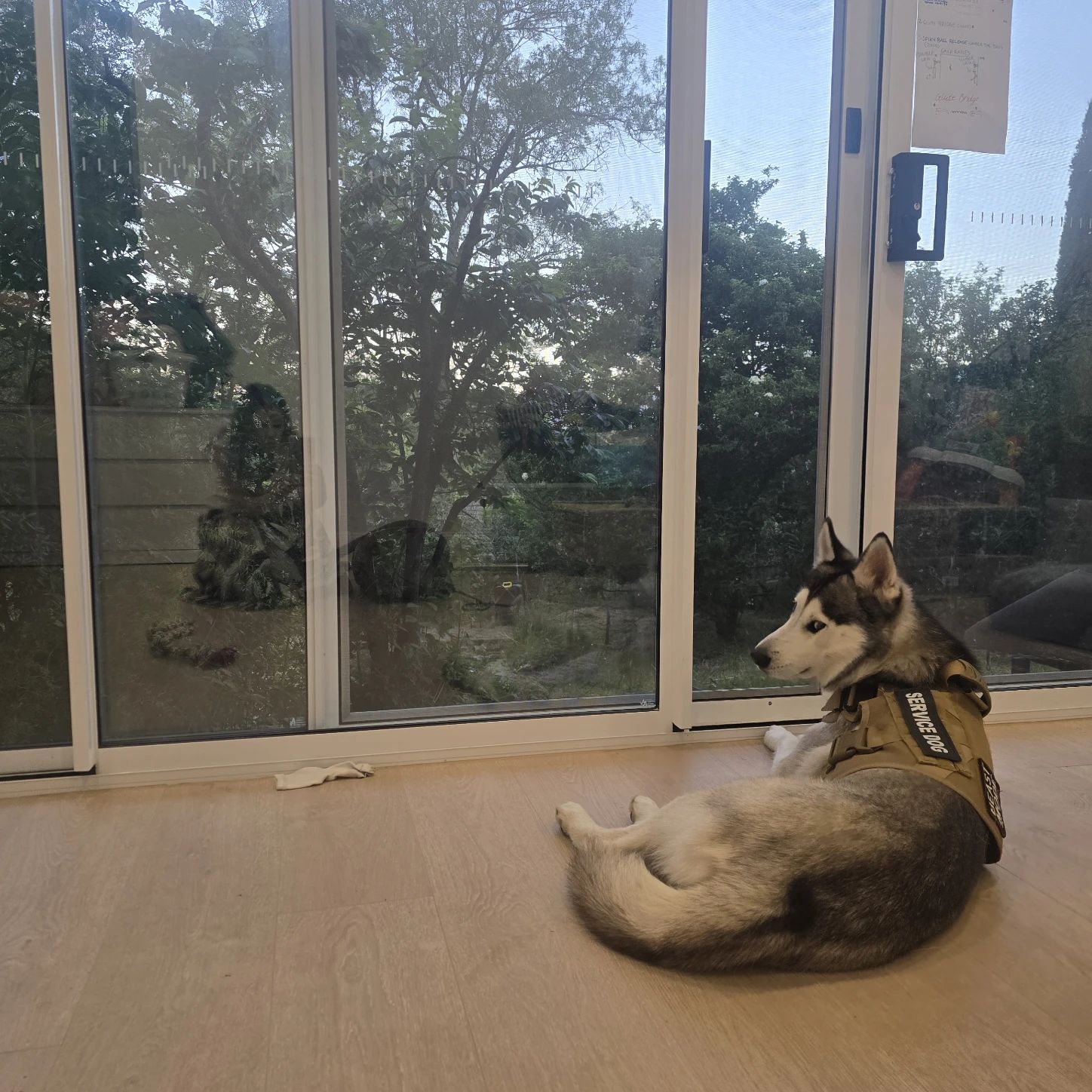 image-7