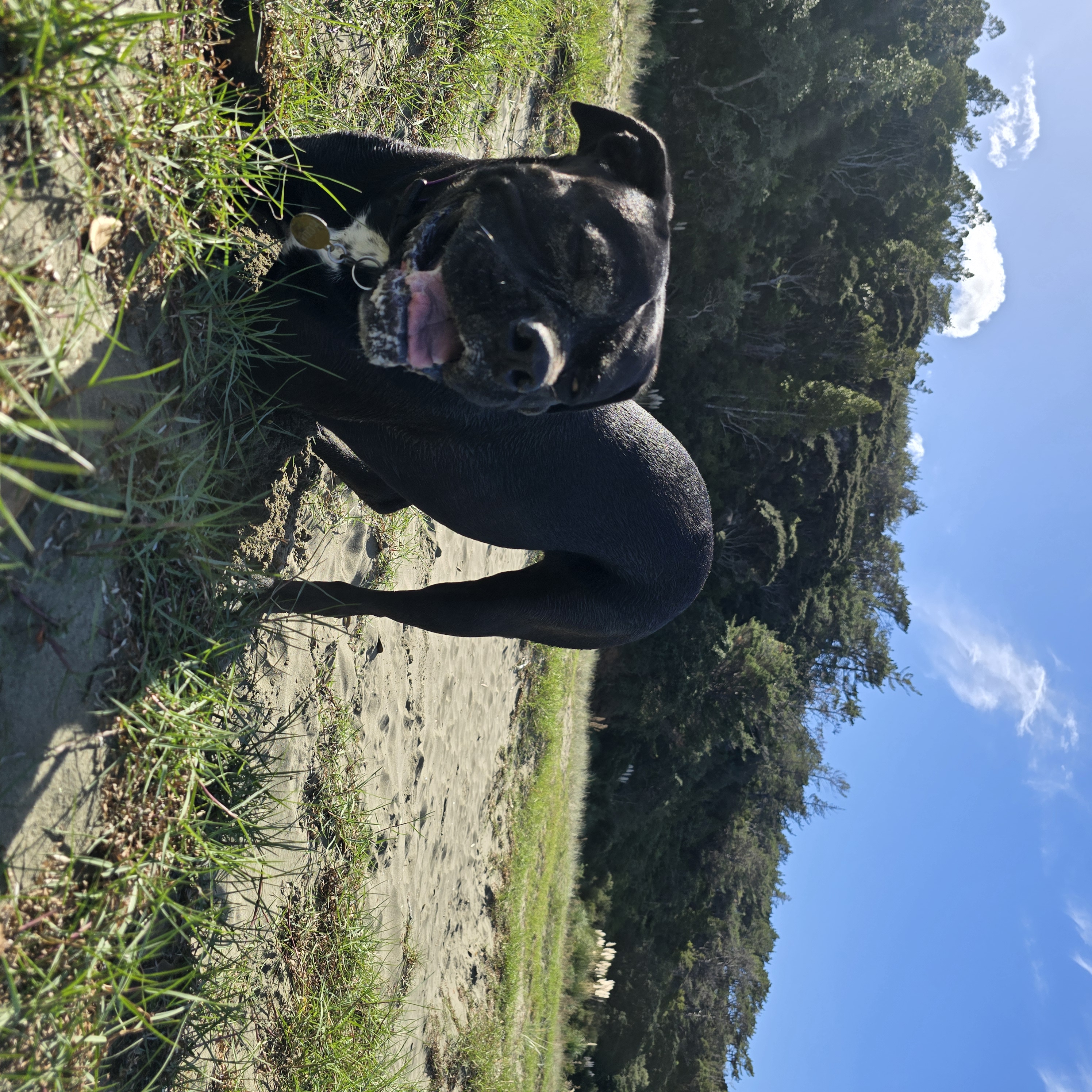 image-10