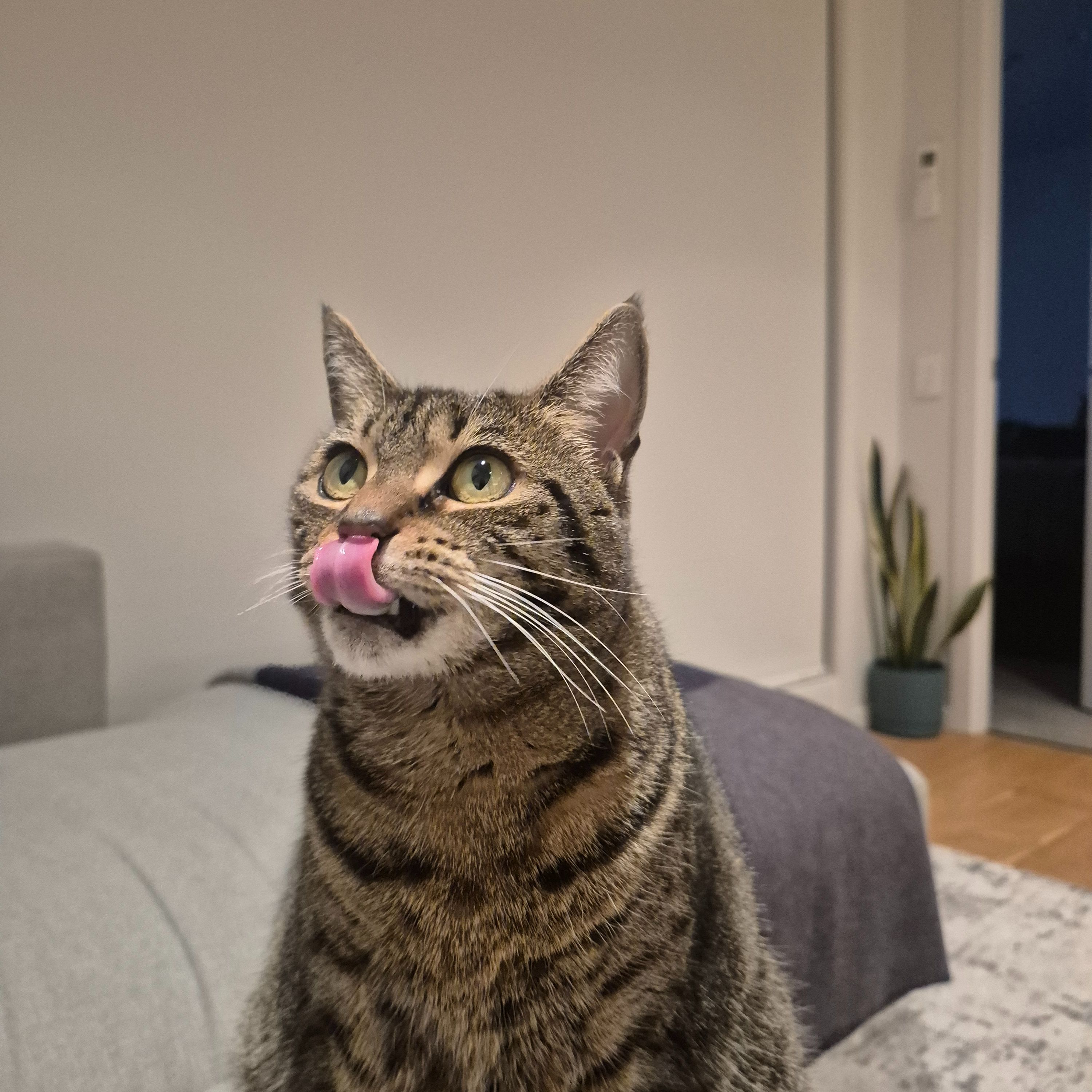 Luna