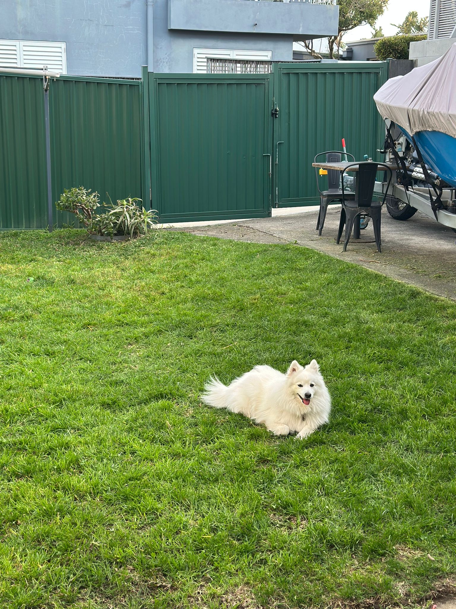 image-13