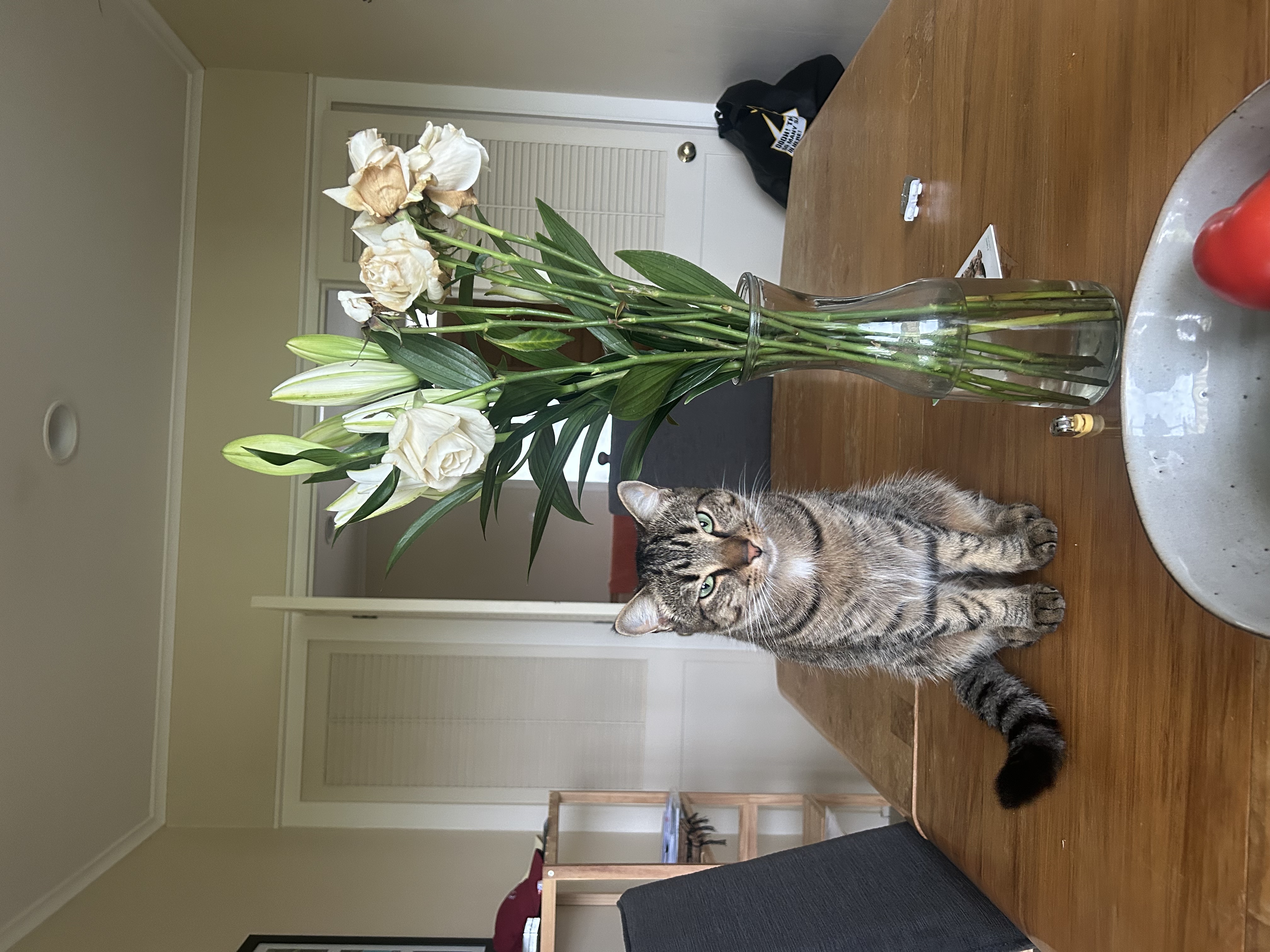 image-13