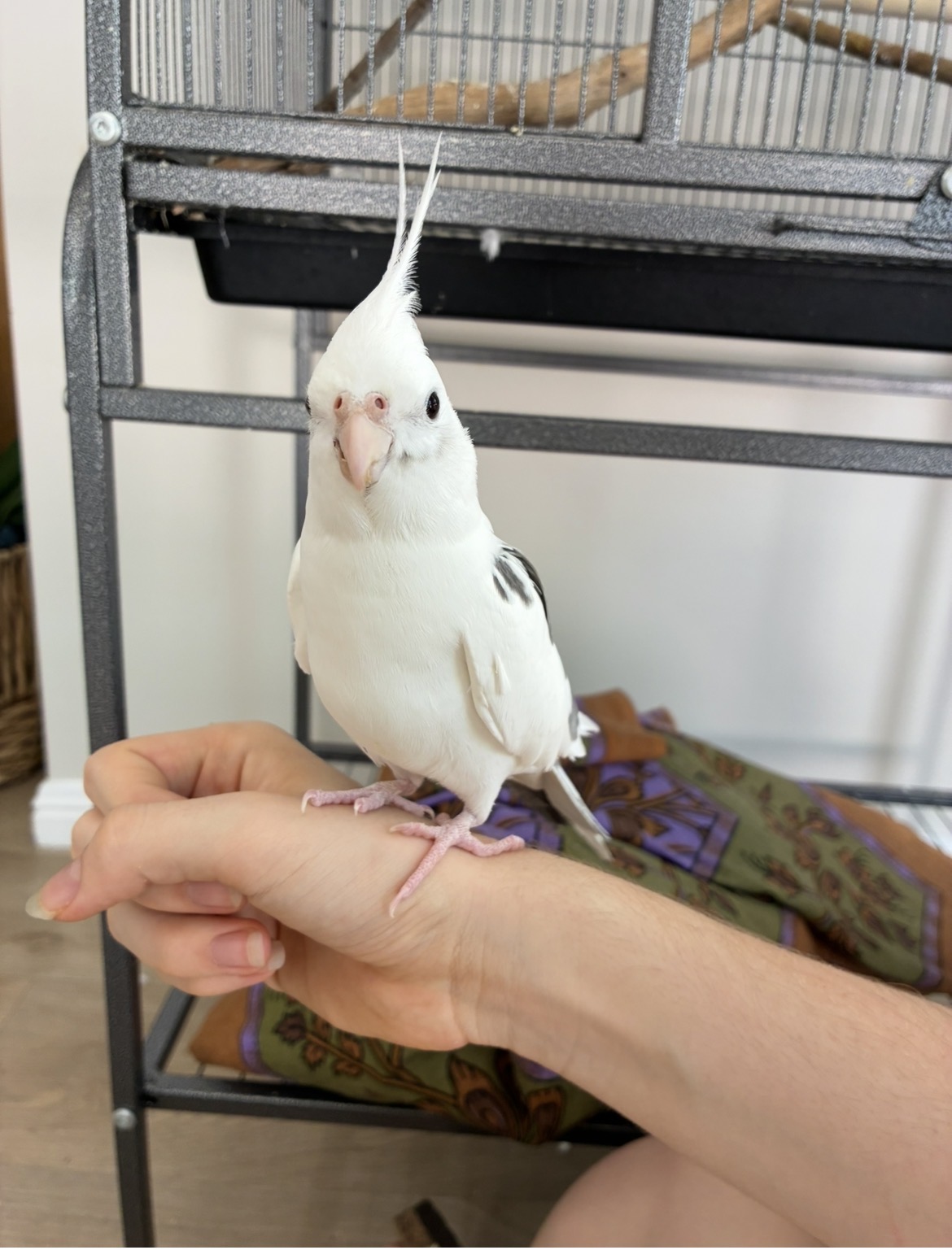 image-11