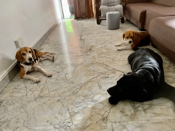 image-46