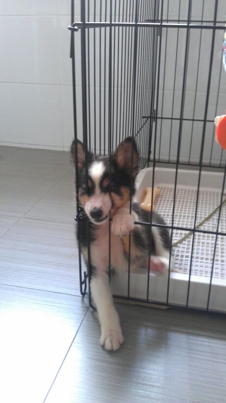 image-49