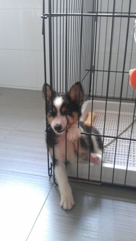 image-49