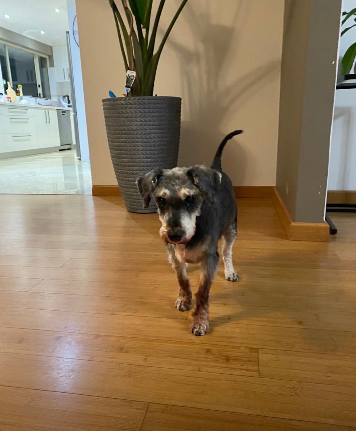 image-17