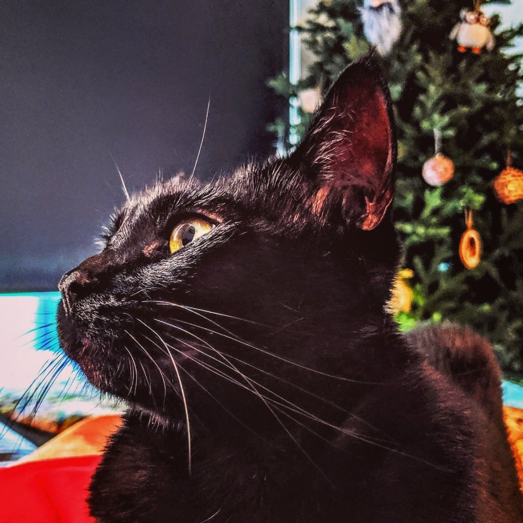 Luna