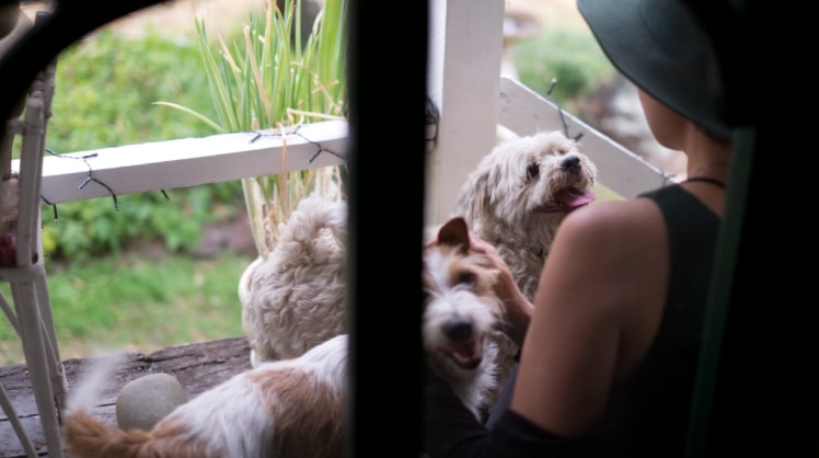 image-3