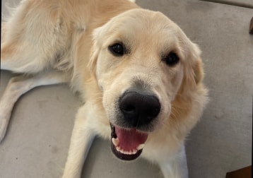 Charlie