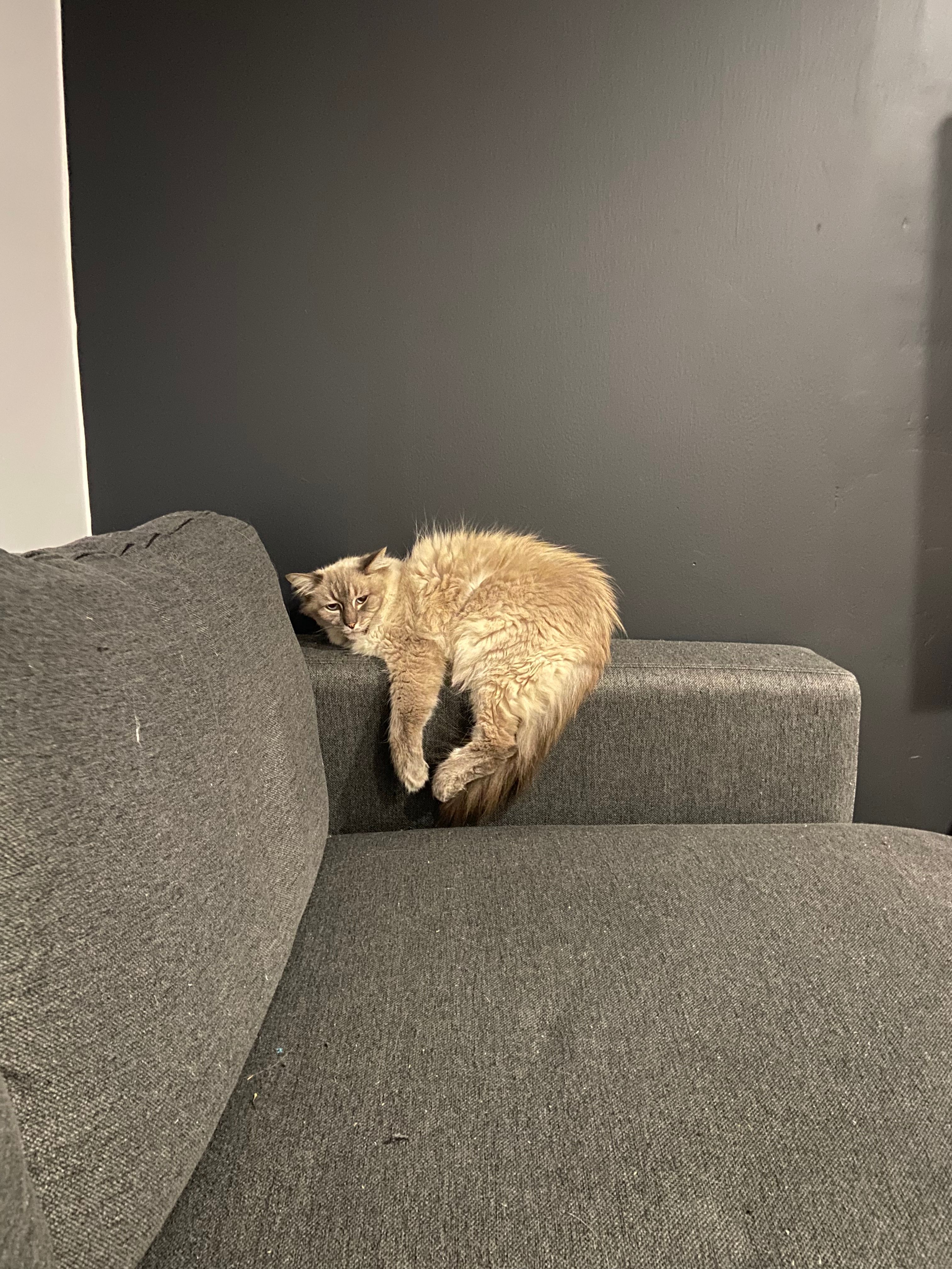 image-18