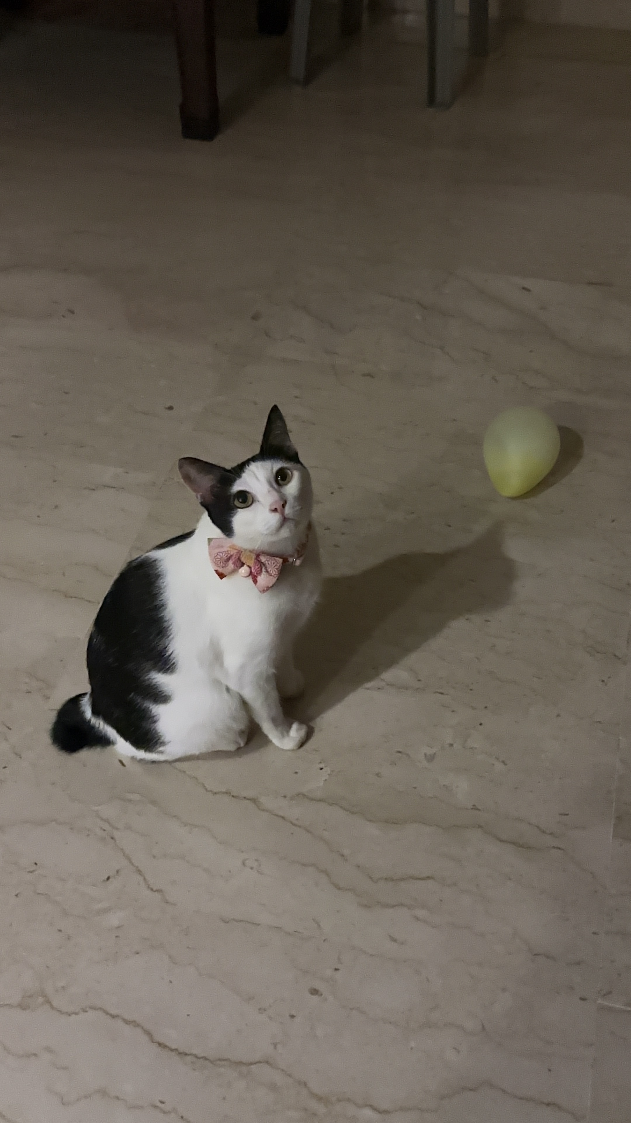image-6