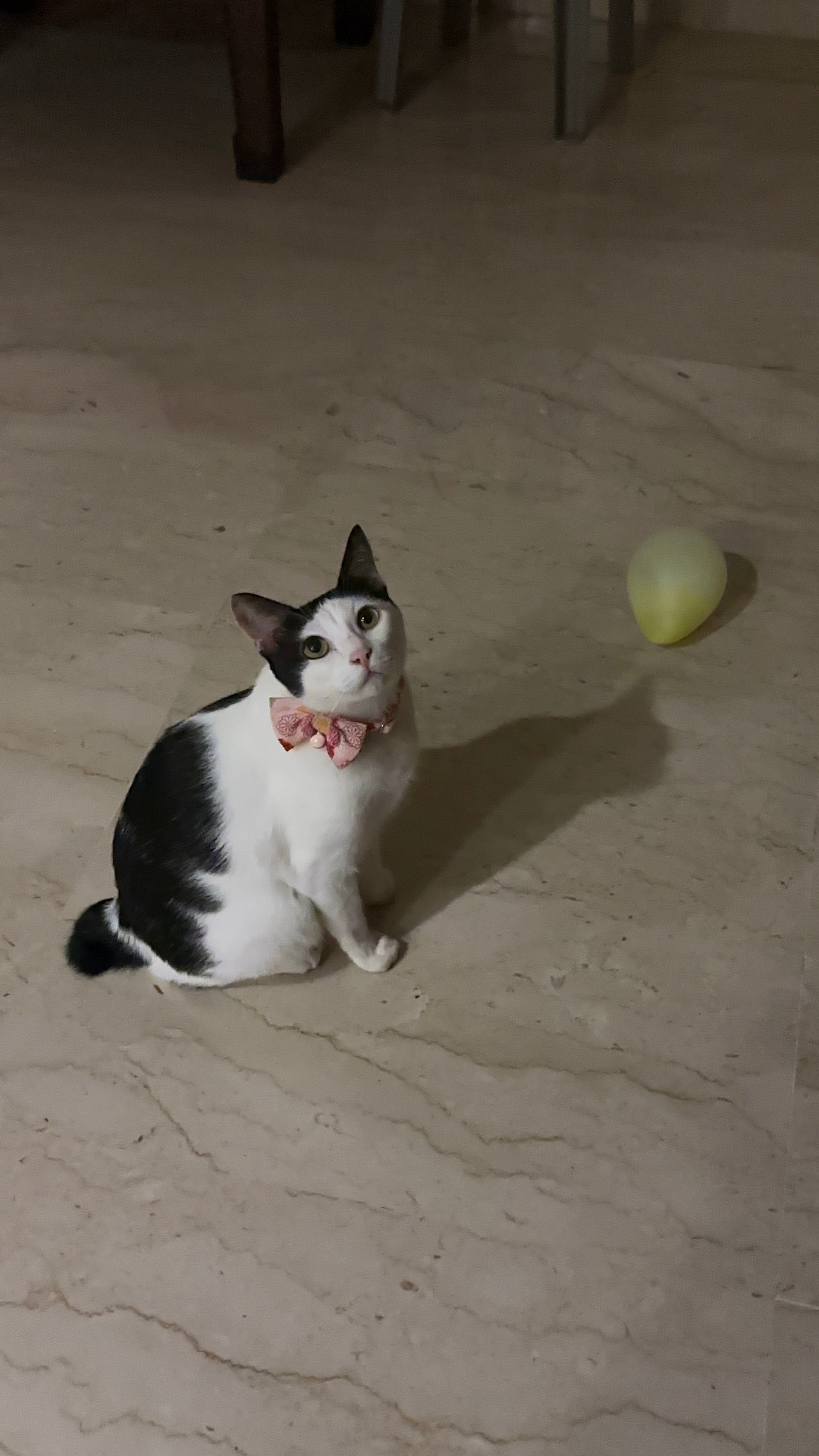 image-6