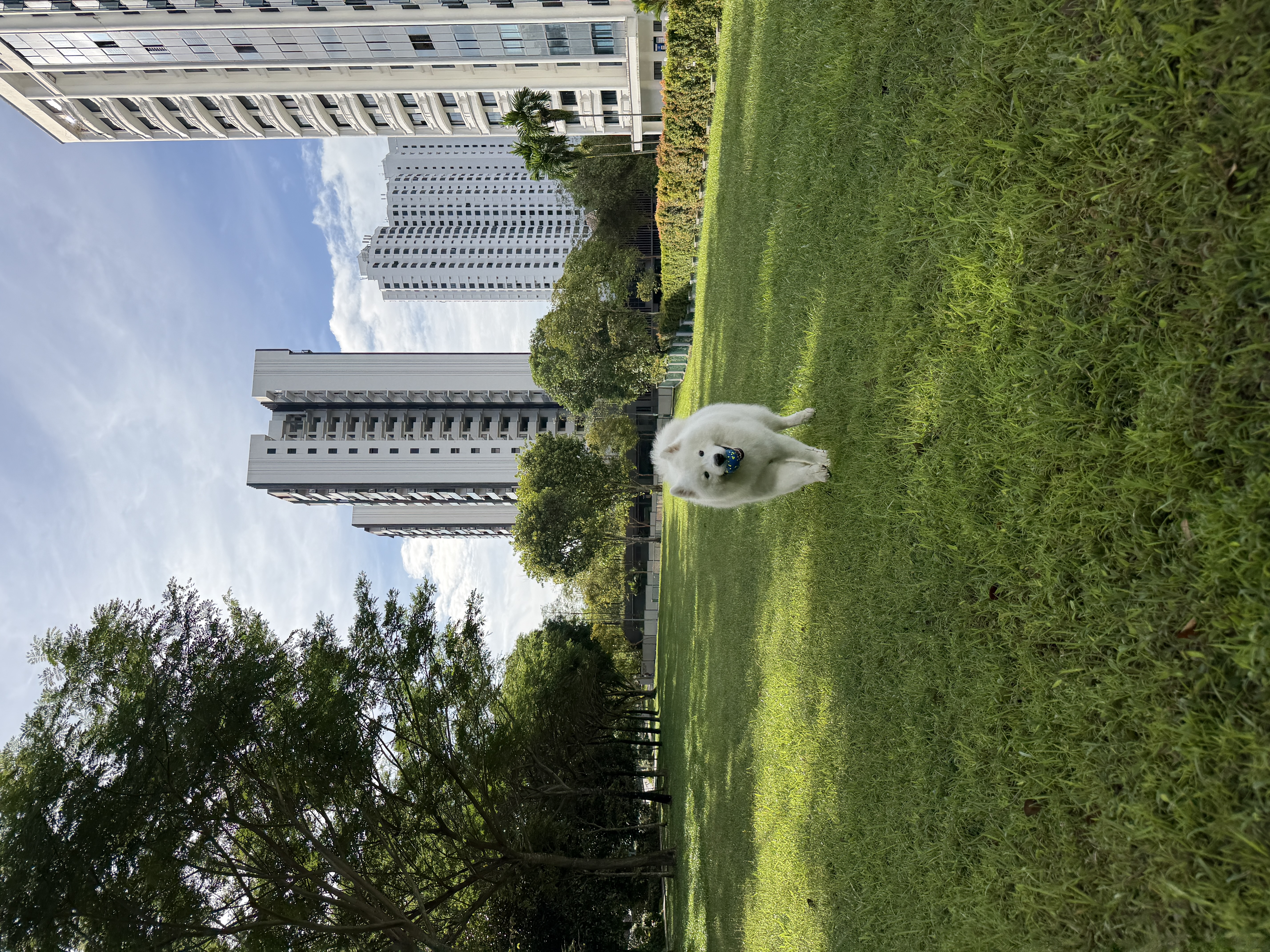 image-13