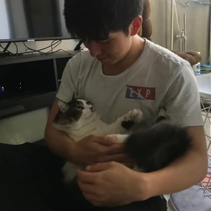 image-8
