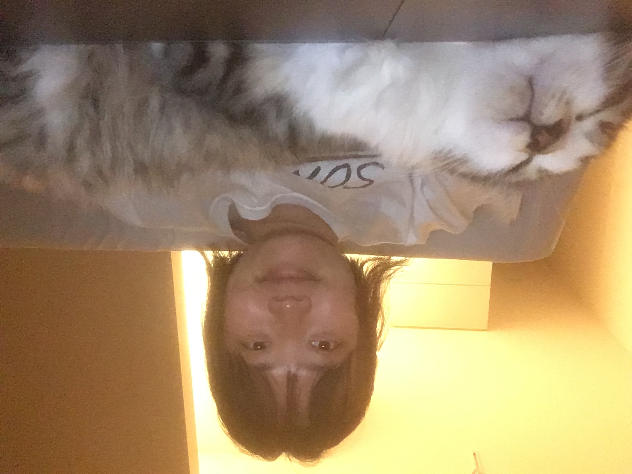 image-7