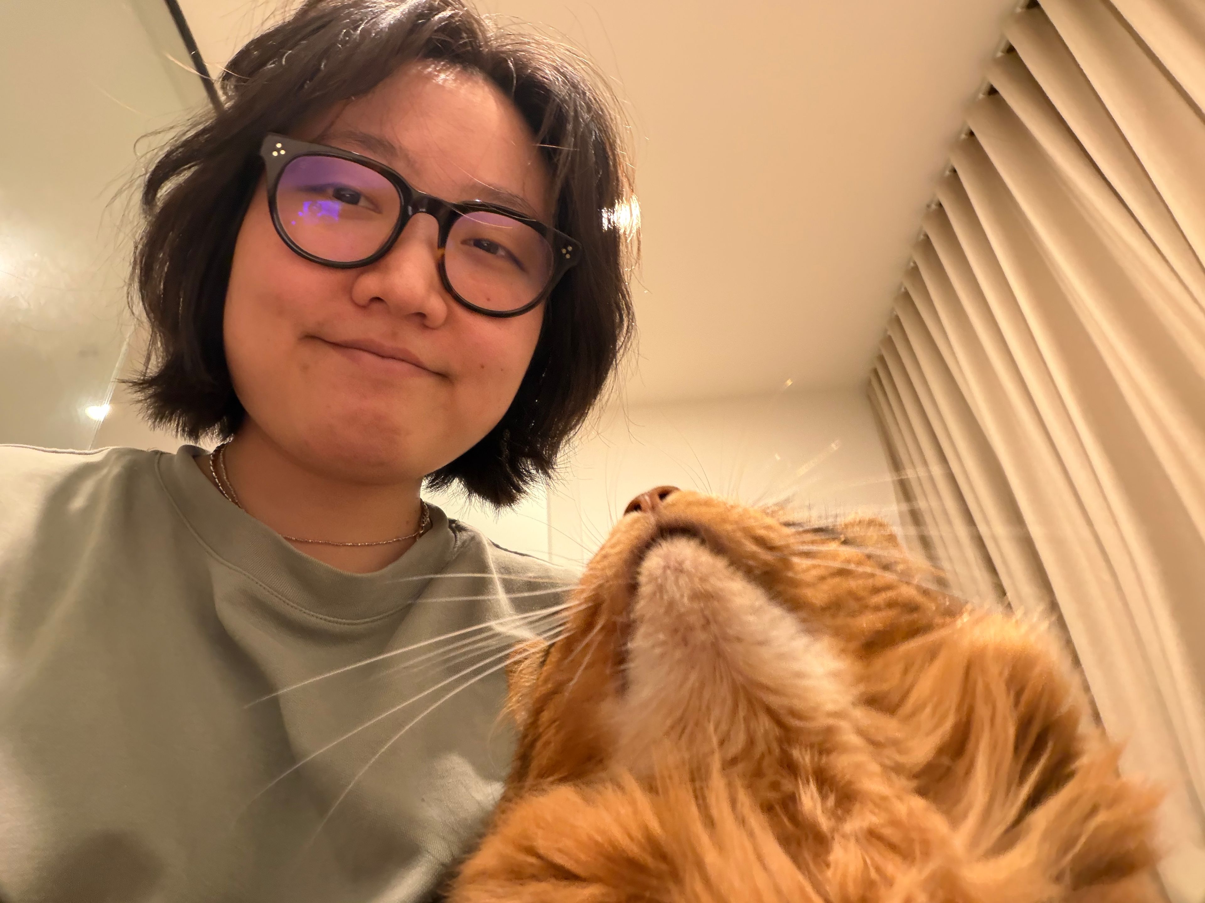 image-6