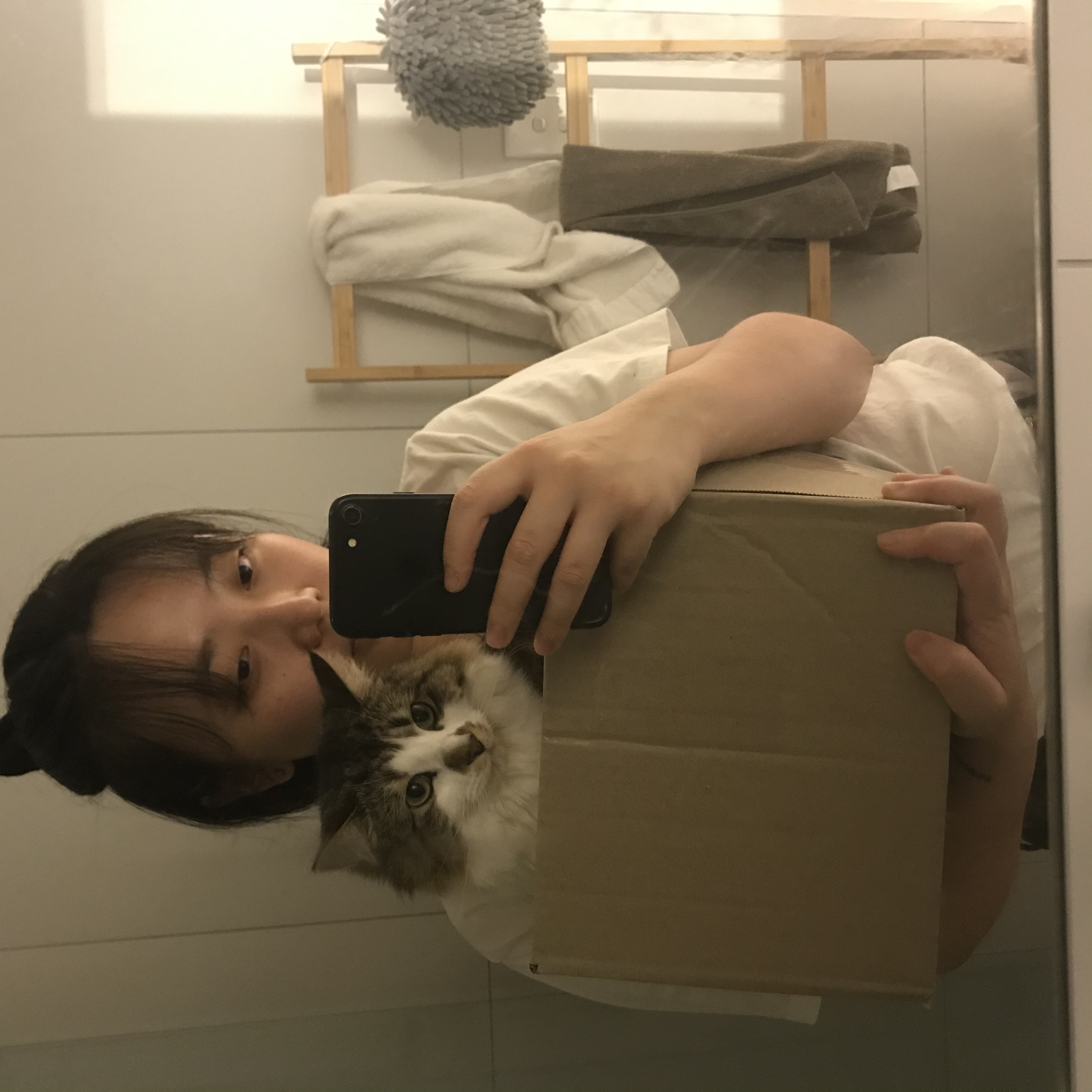 image-8
