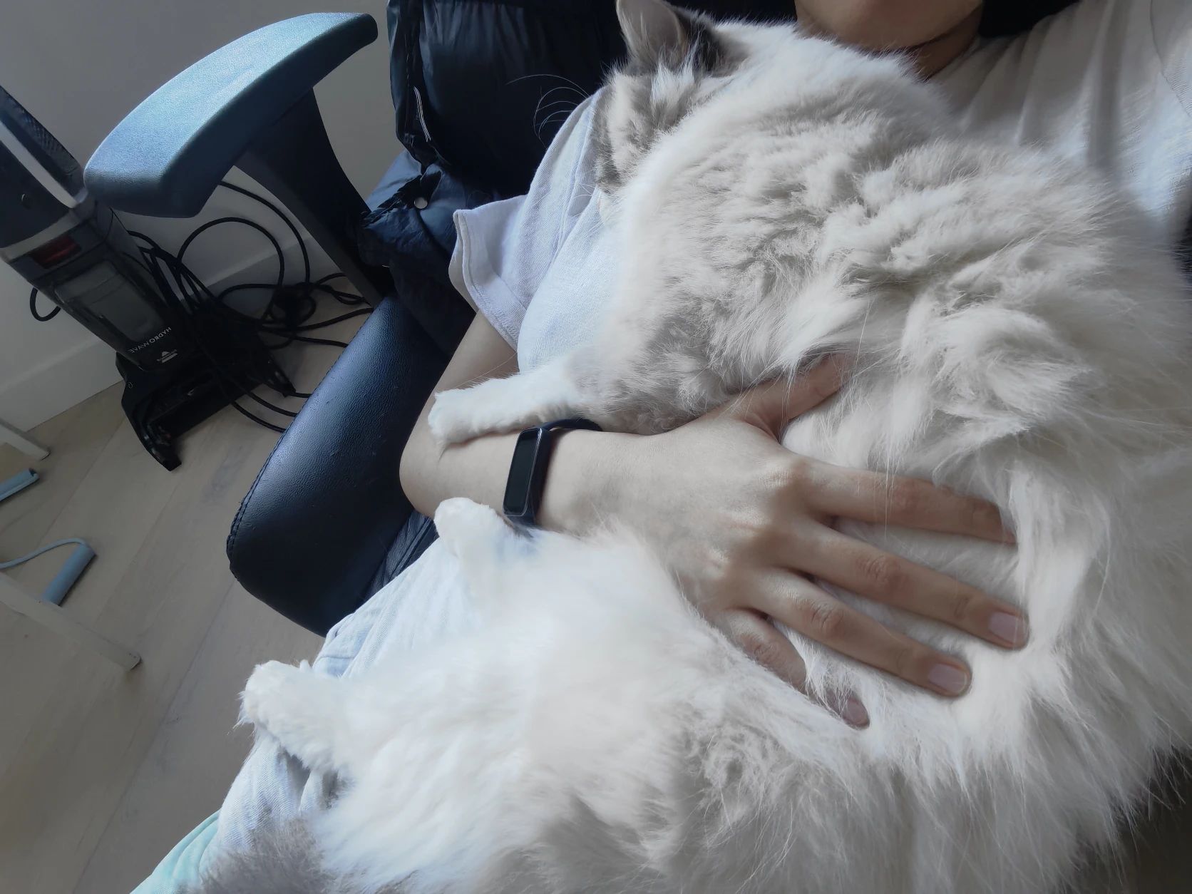 image-7