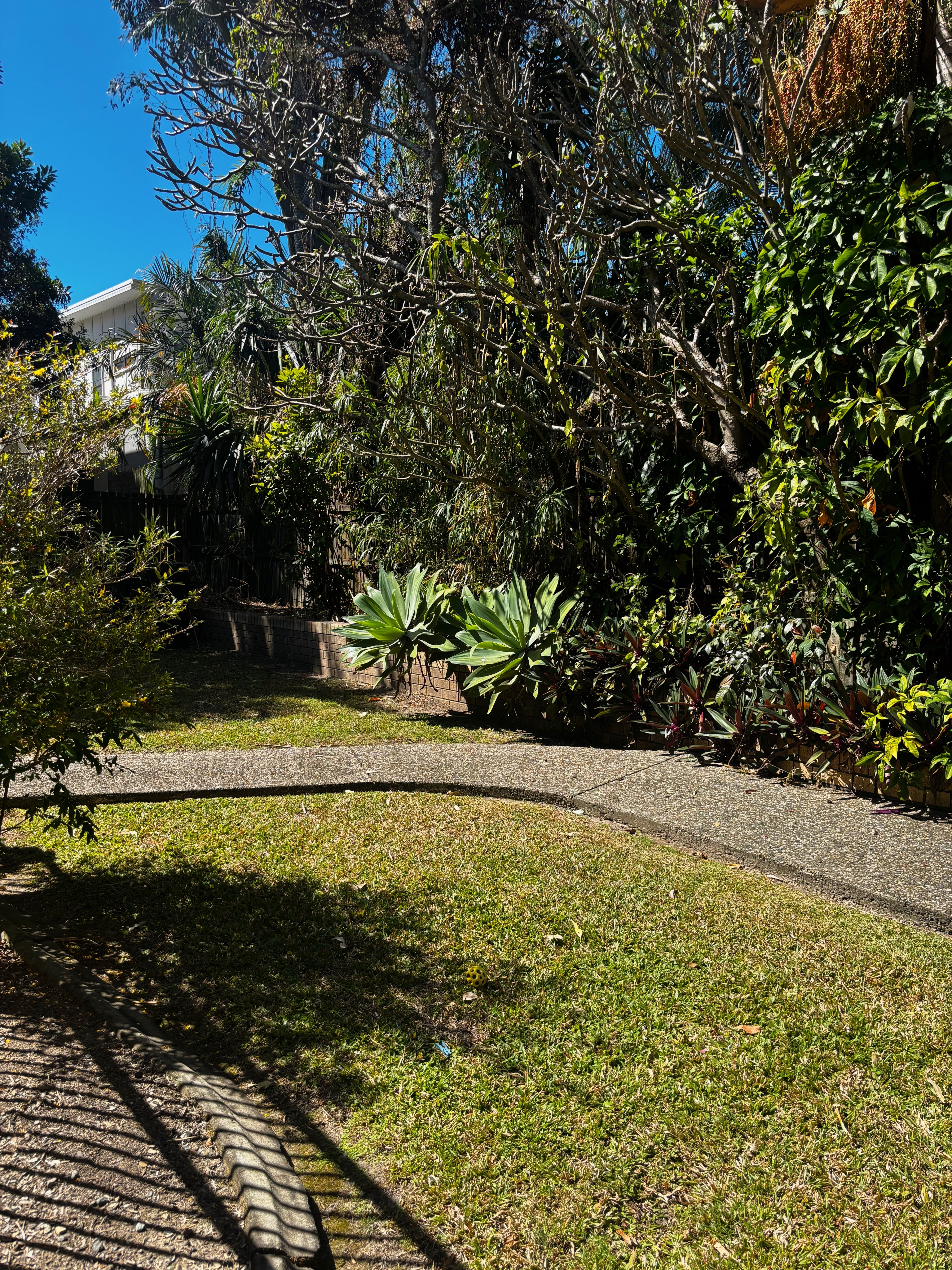 image-17