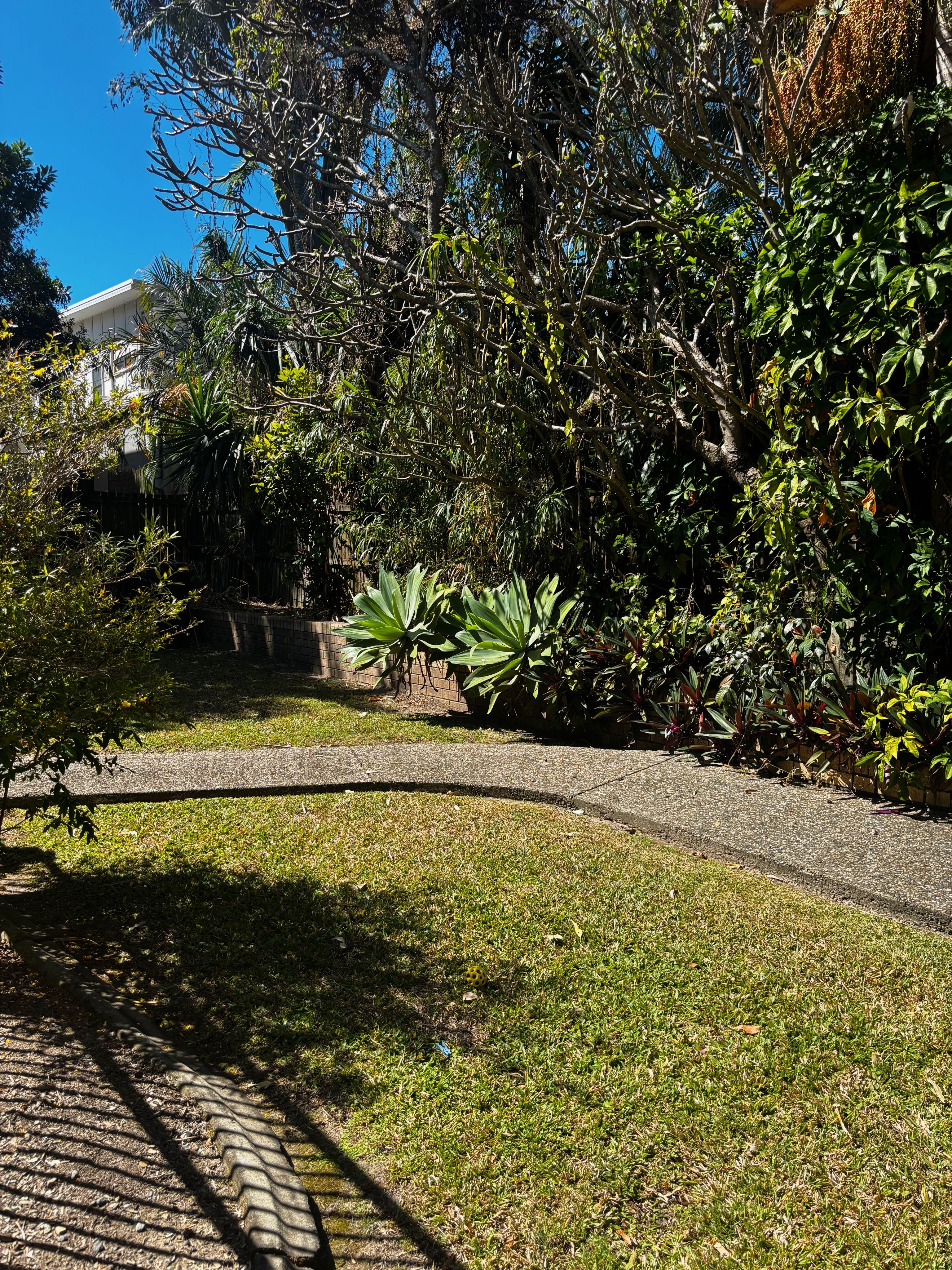 image-17