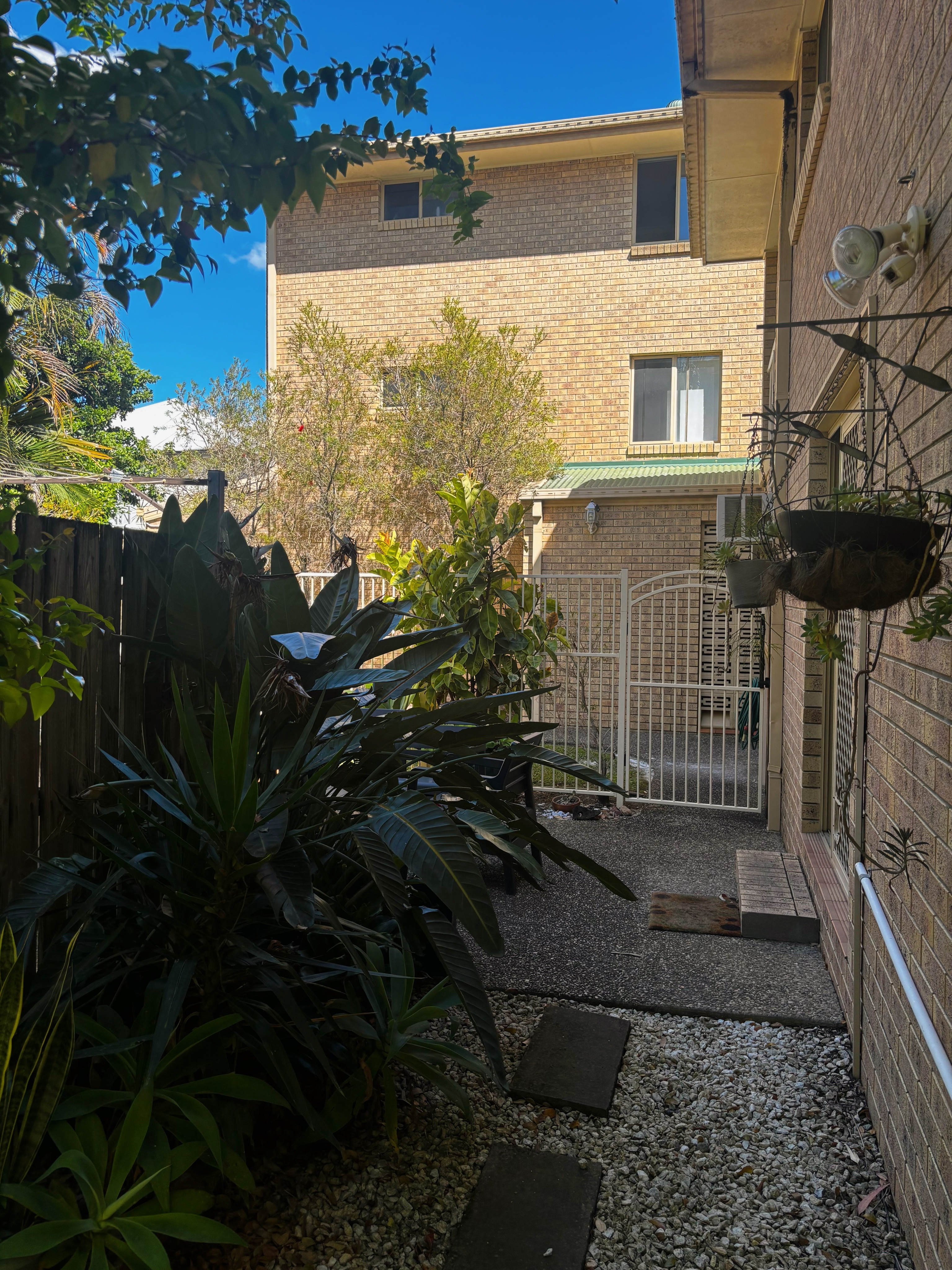 image-19