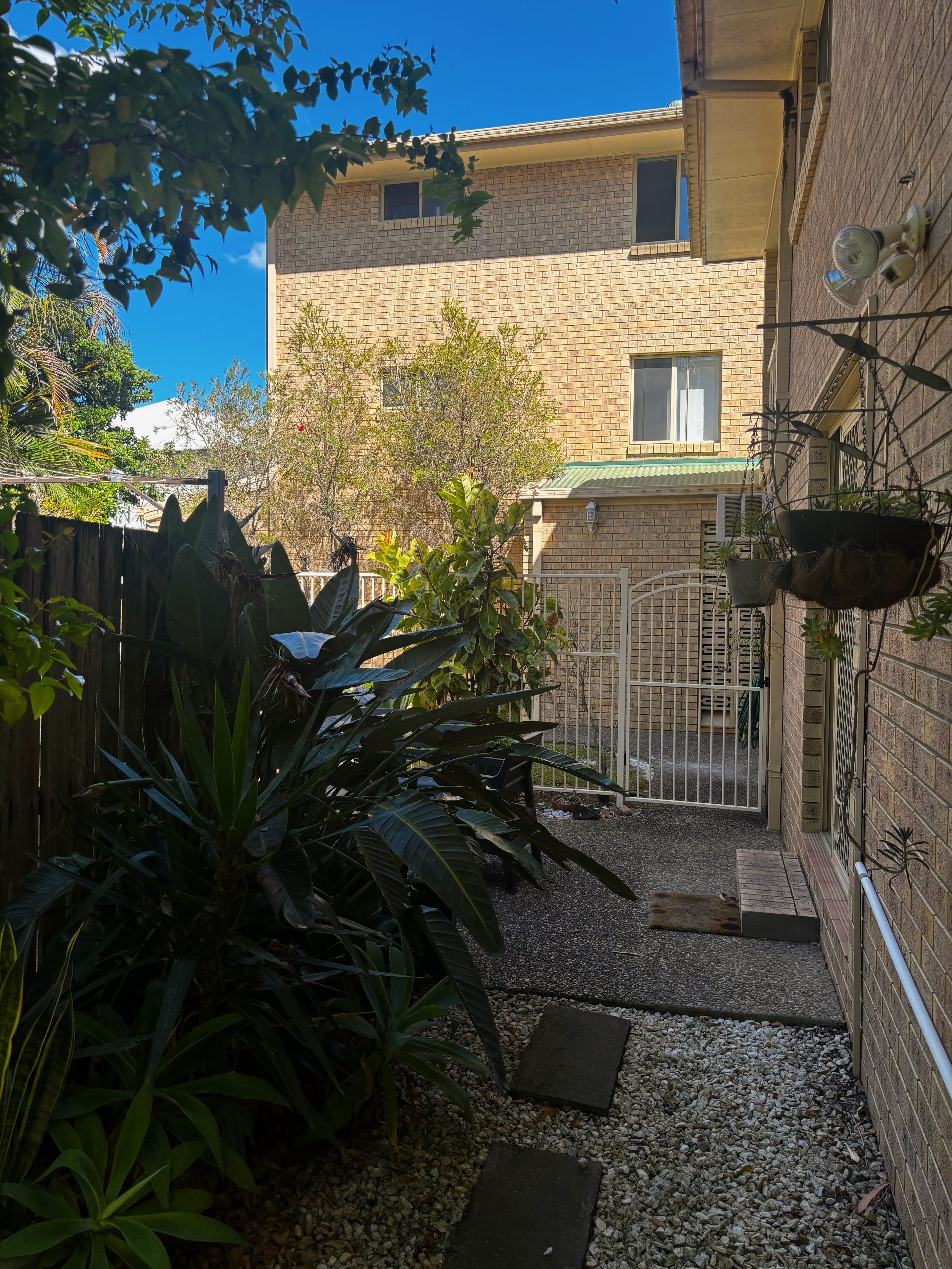 image-19