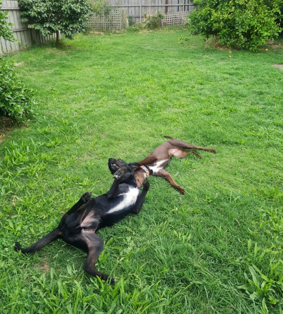 image-13