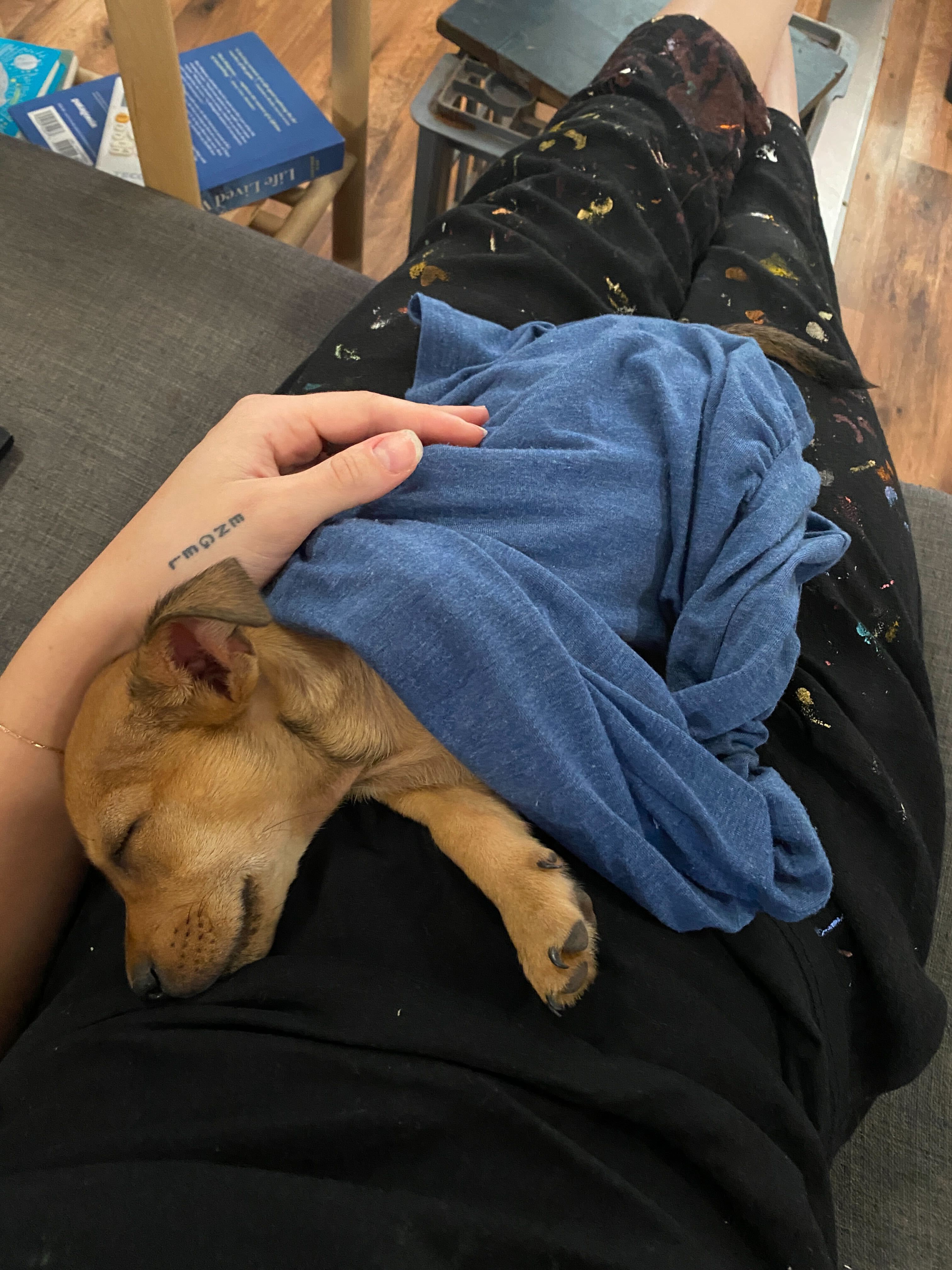 image-8