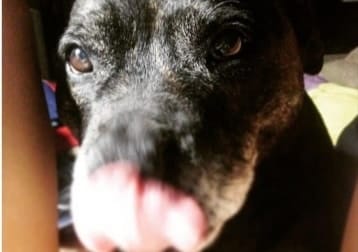 Dori