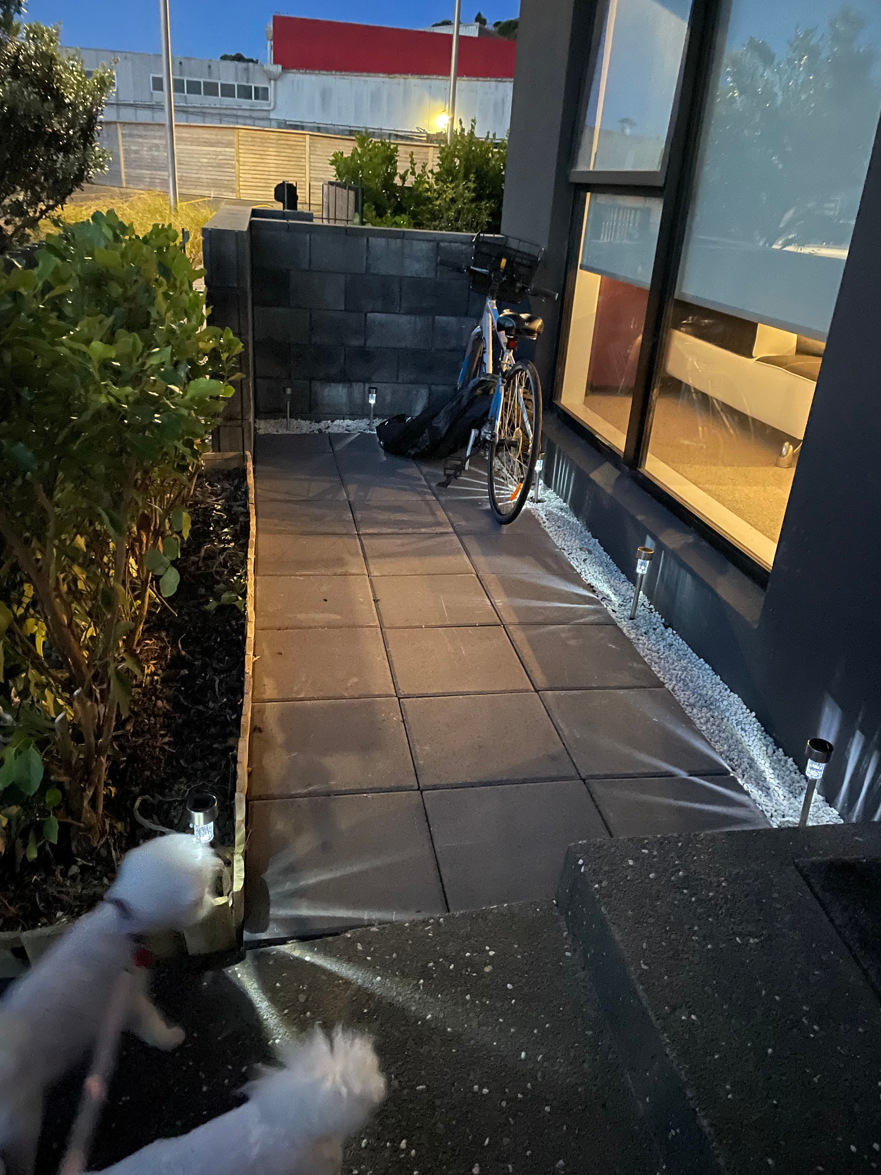 image-17