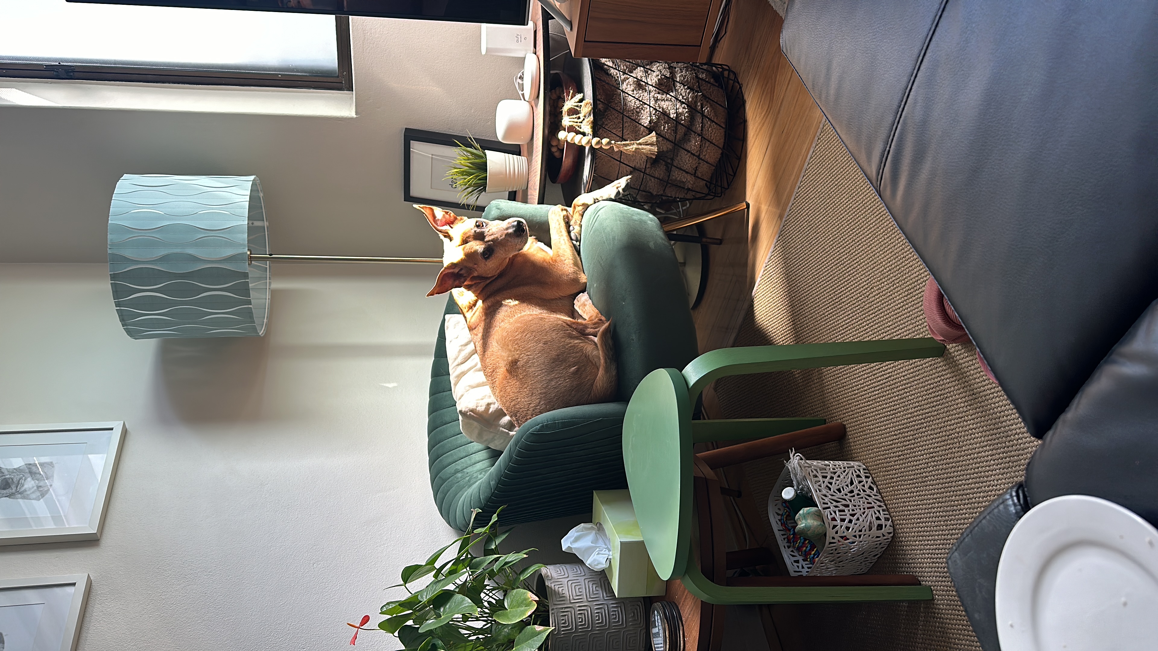 image-12
