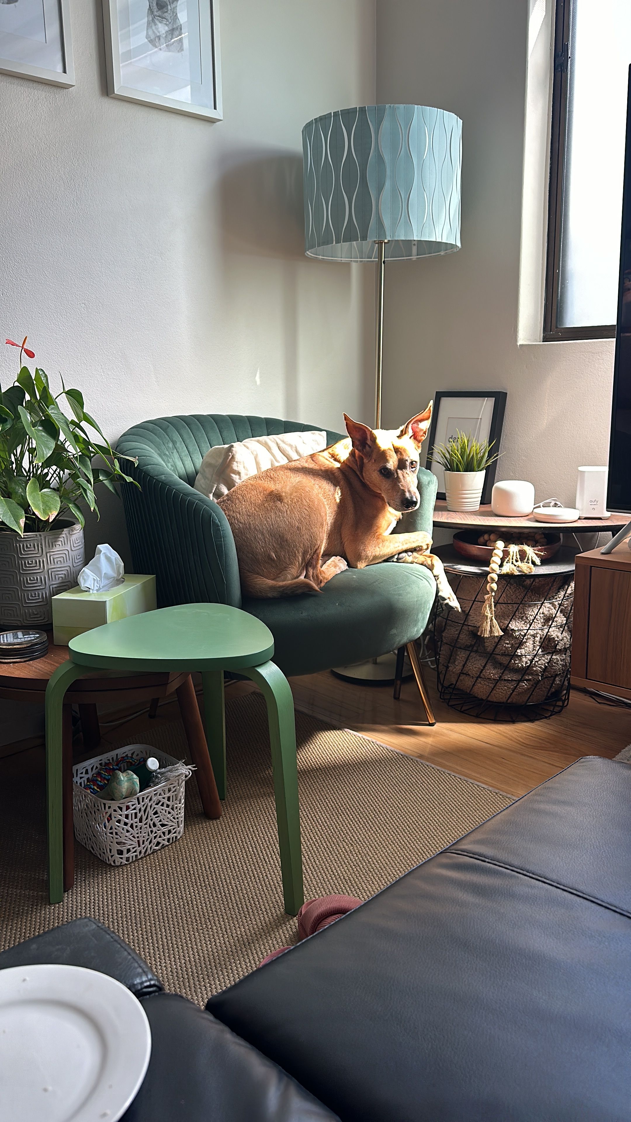 image-12