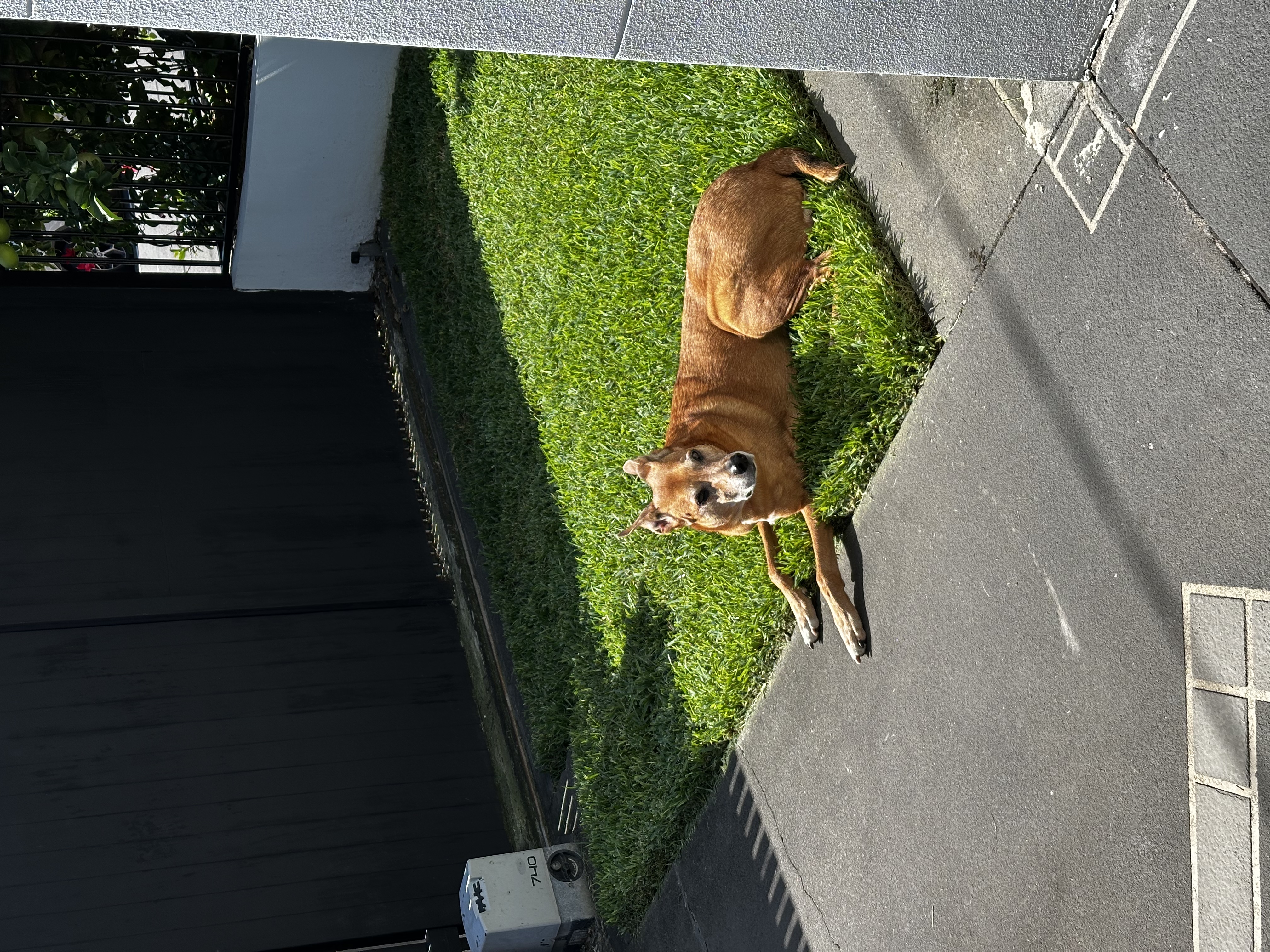 image-11