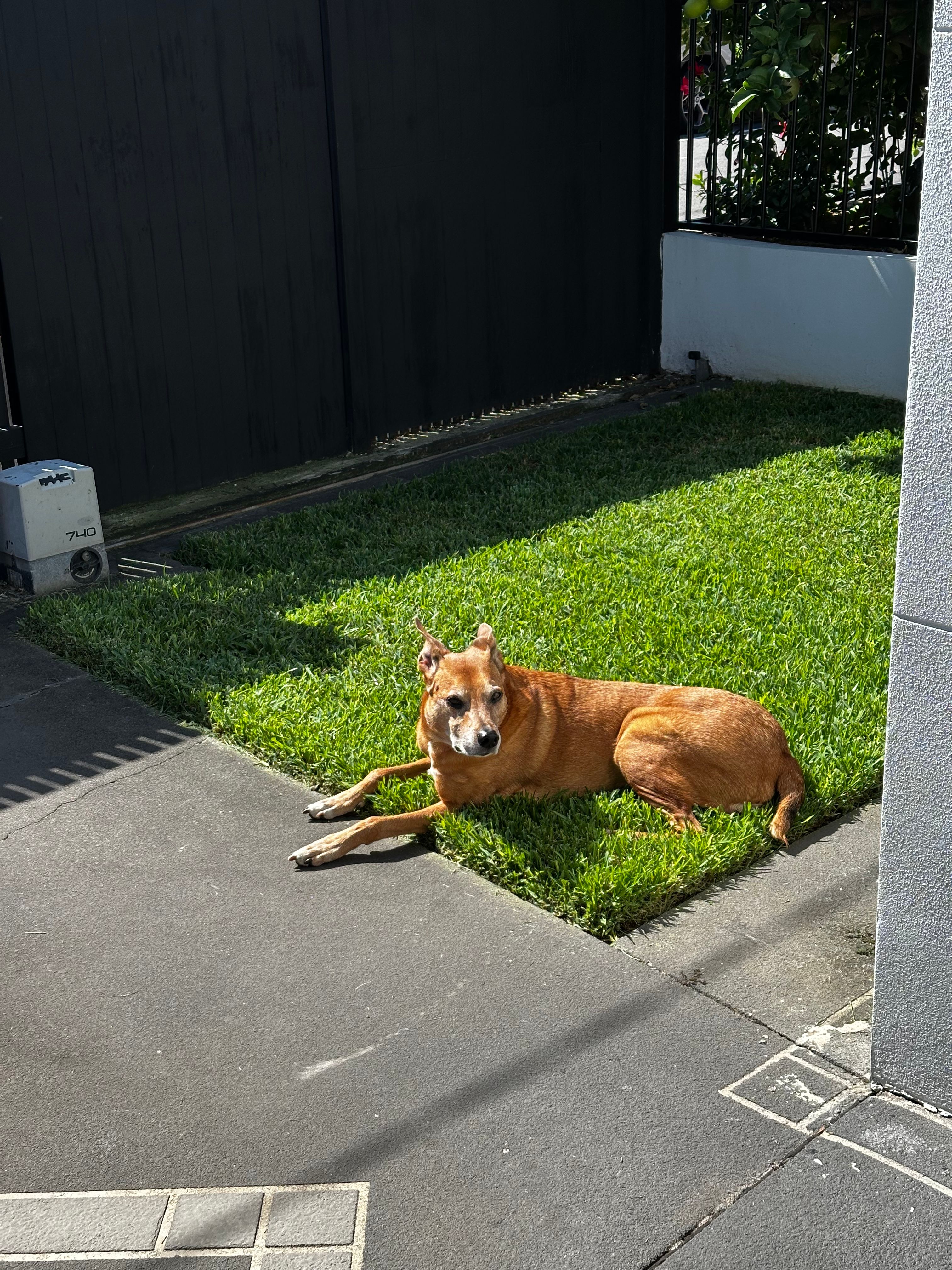 image-11