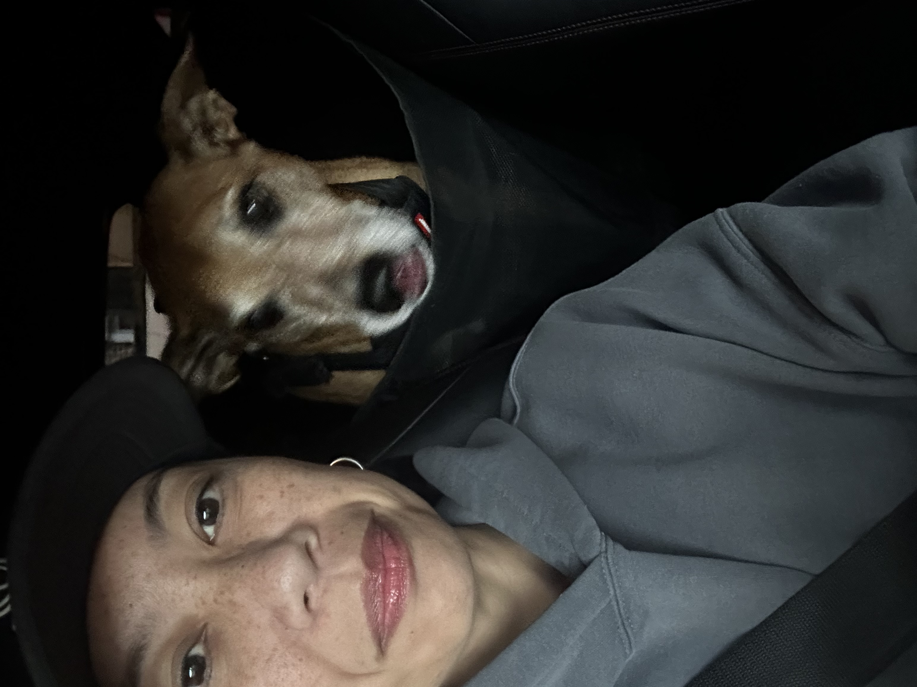image-8