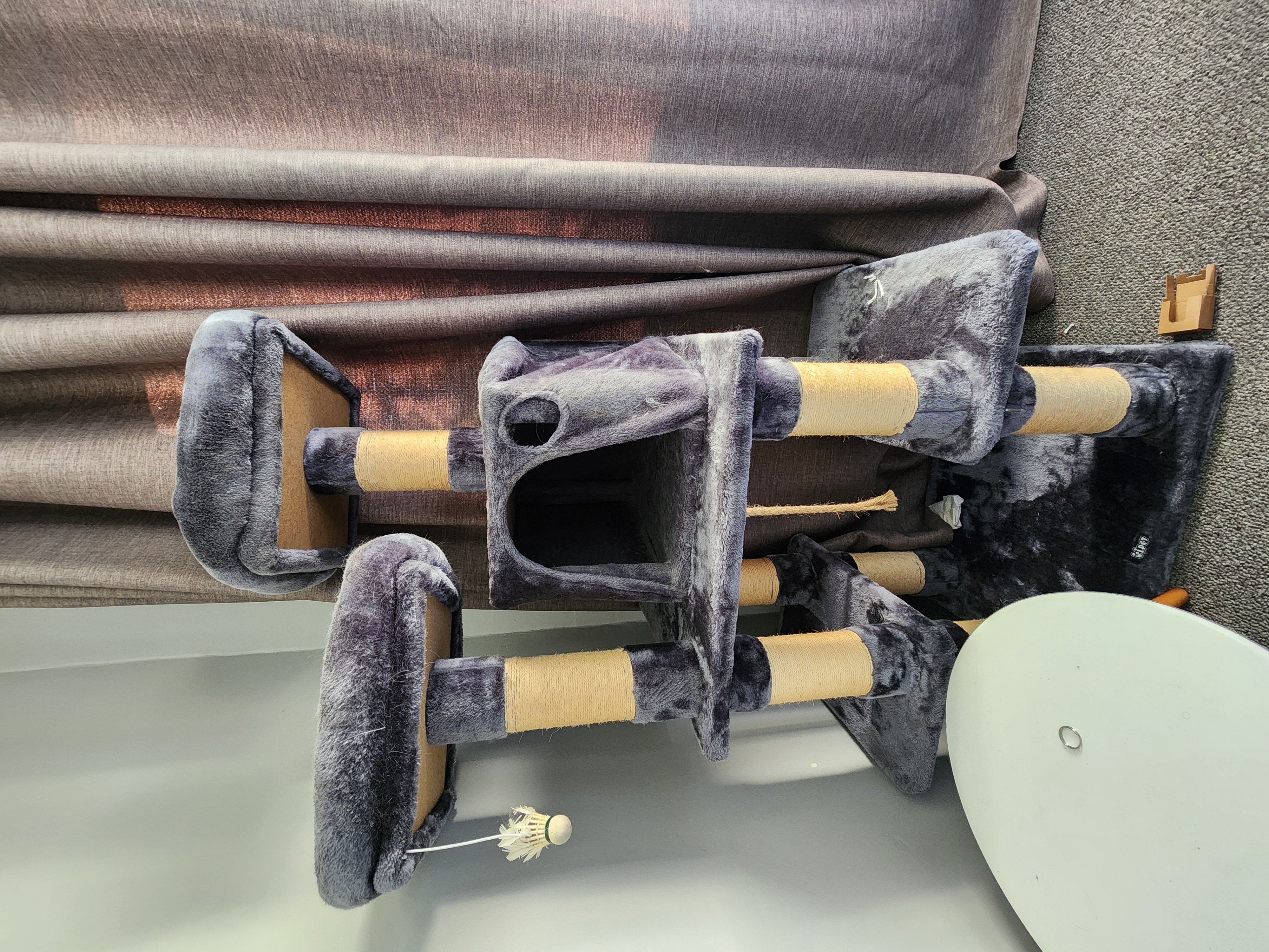 image-7