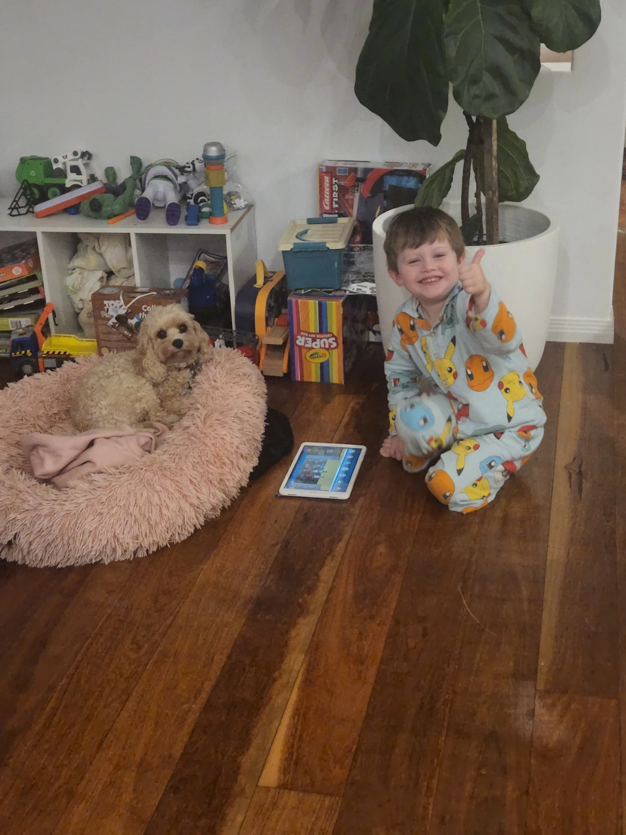 image-7