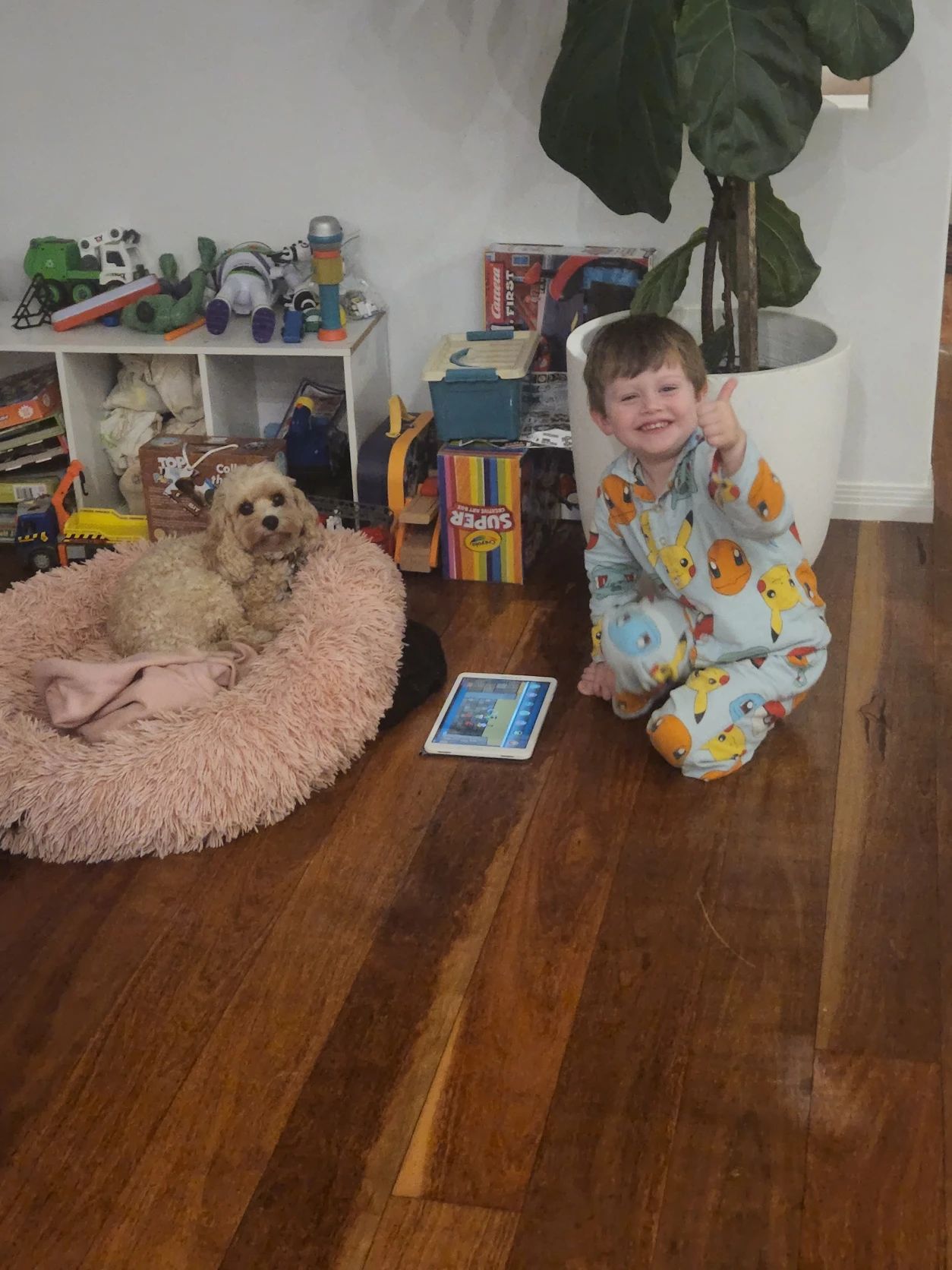 image-7
