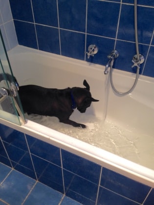 image-9